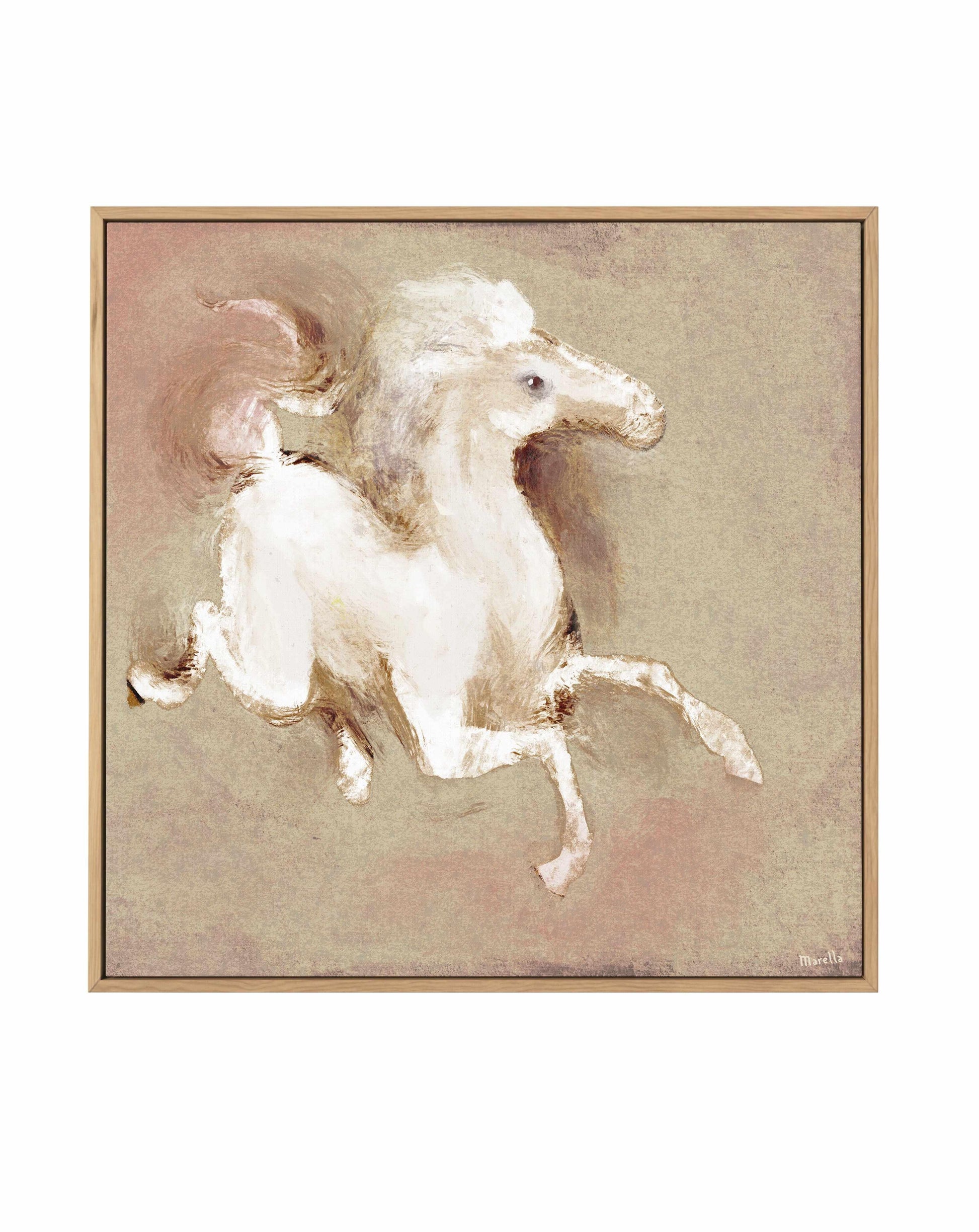 Wild Horse 1 by Marco Marella | Framed Canvas Art Print from Olive et Oriel where you can shop wallpaper and artworks online