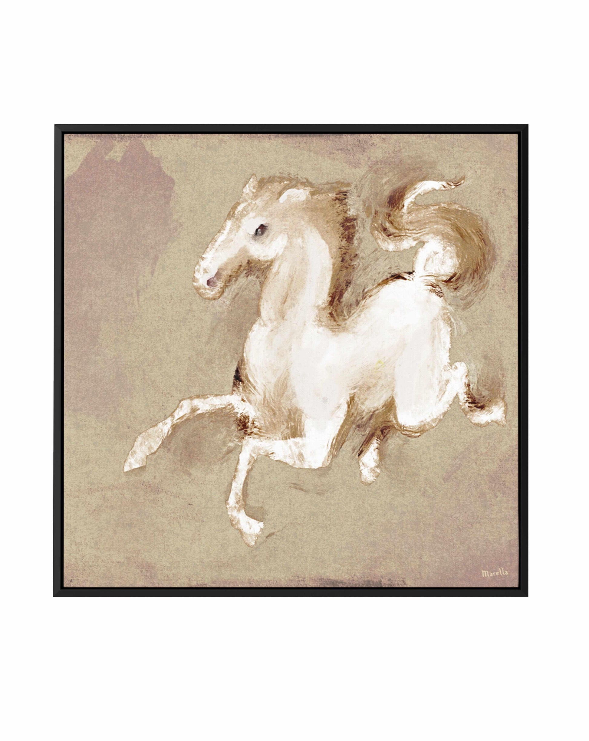 Wild Horse 2 by Marco Marella | Framed Canvas Art Print from Olive et Oriel where you can shop wallpaper and artworks online