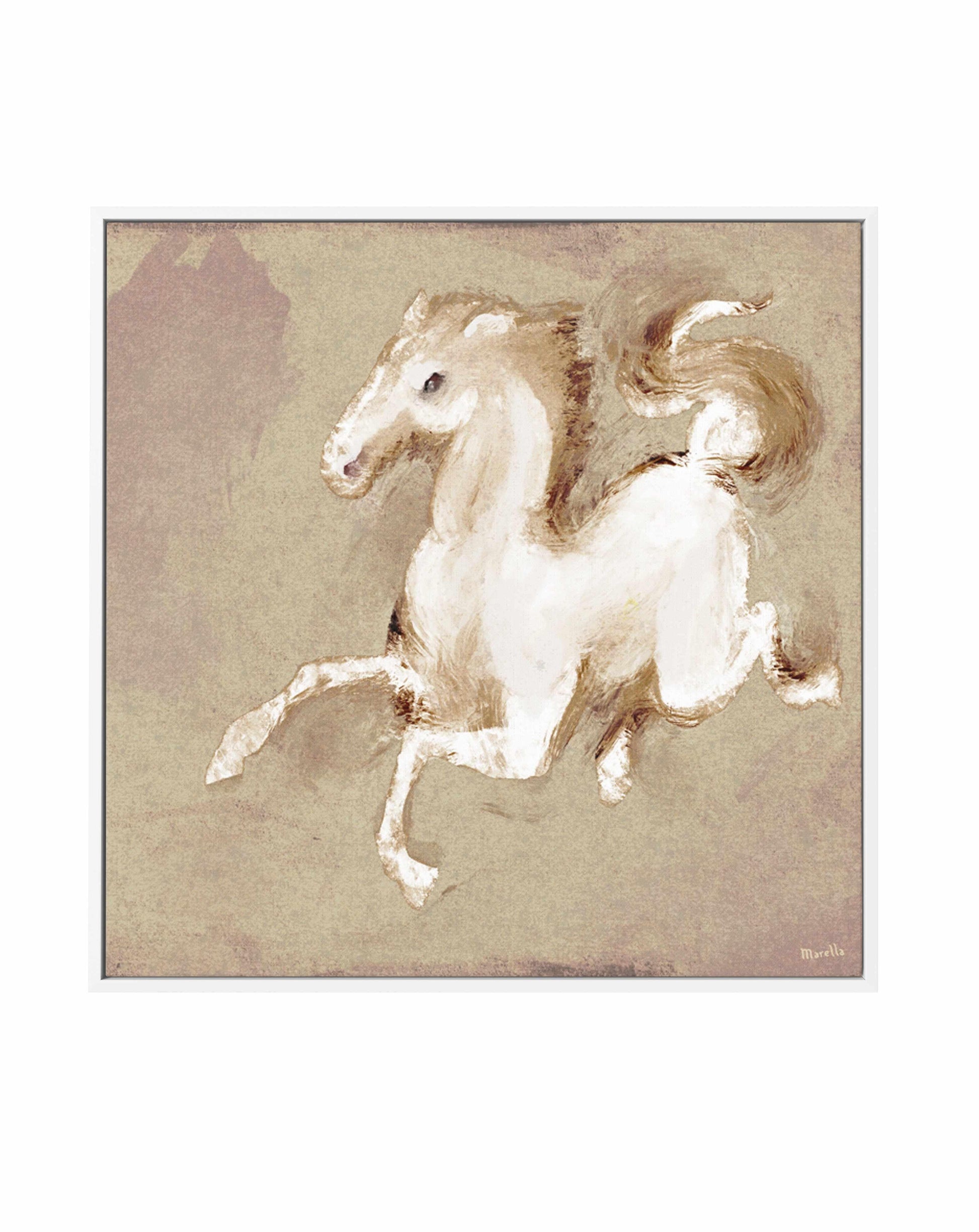 Wild Horse 2 by Marco Marella | Framed Canvas Art Print from Olive et Oriel where you can shop wallpaper and artworks online