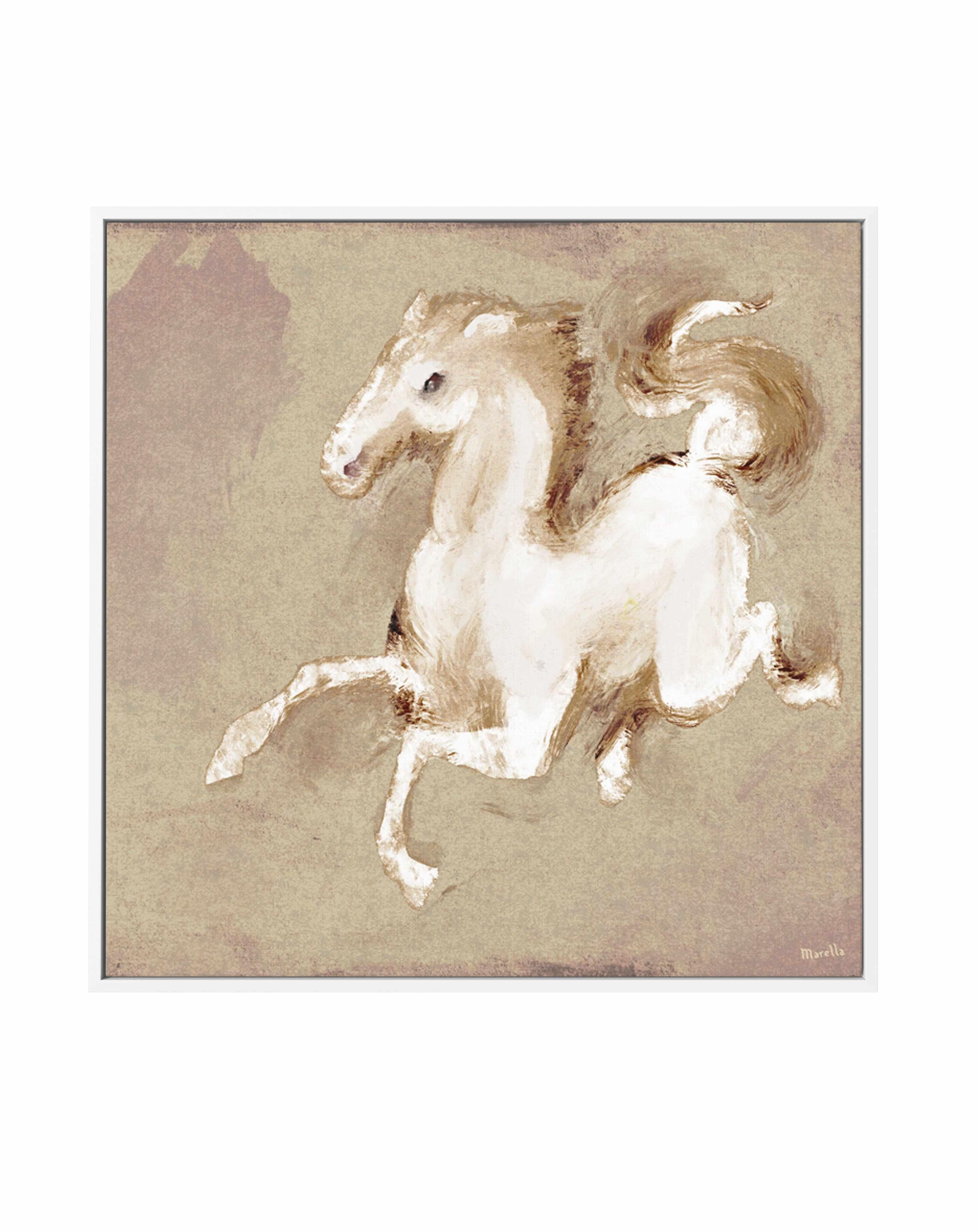 Wild Horse 2 by Marco Marella | Framed Canvas Art Print from Olive et Oriel where you can shop wallpaper and artworks online
