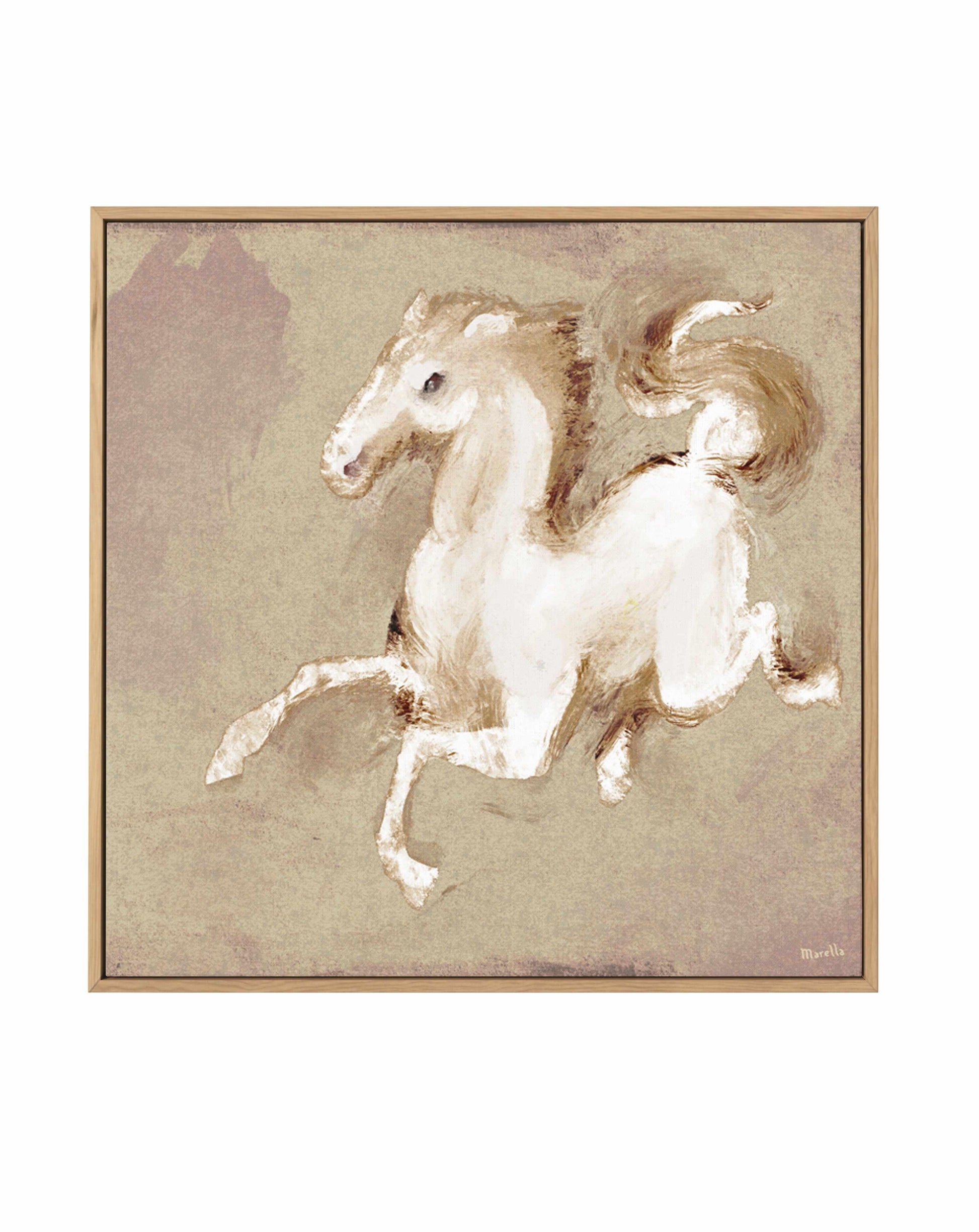 Wild Horse 2 by Marco Marella | Framed Canvas Art Print from Olive et Oriel where you can shop wallpaper and artworks online