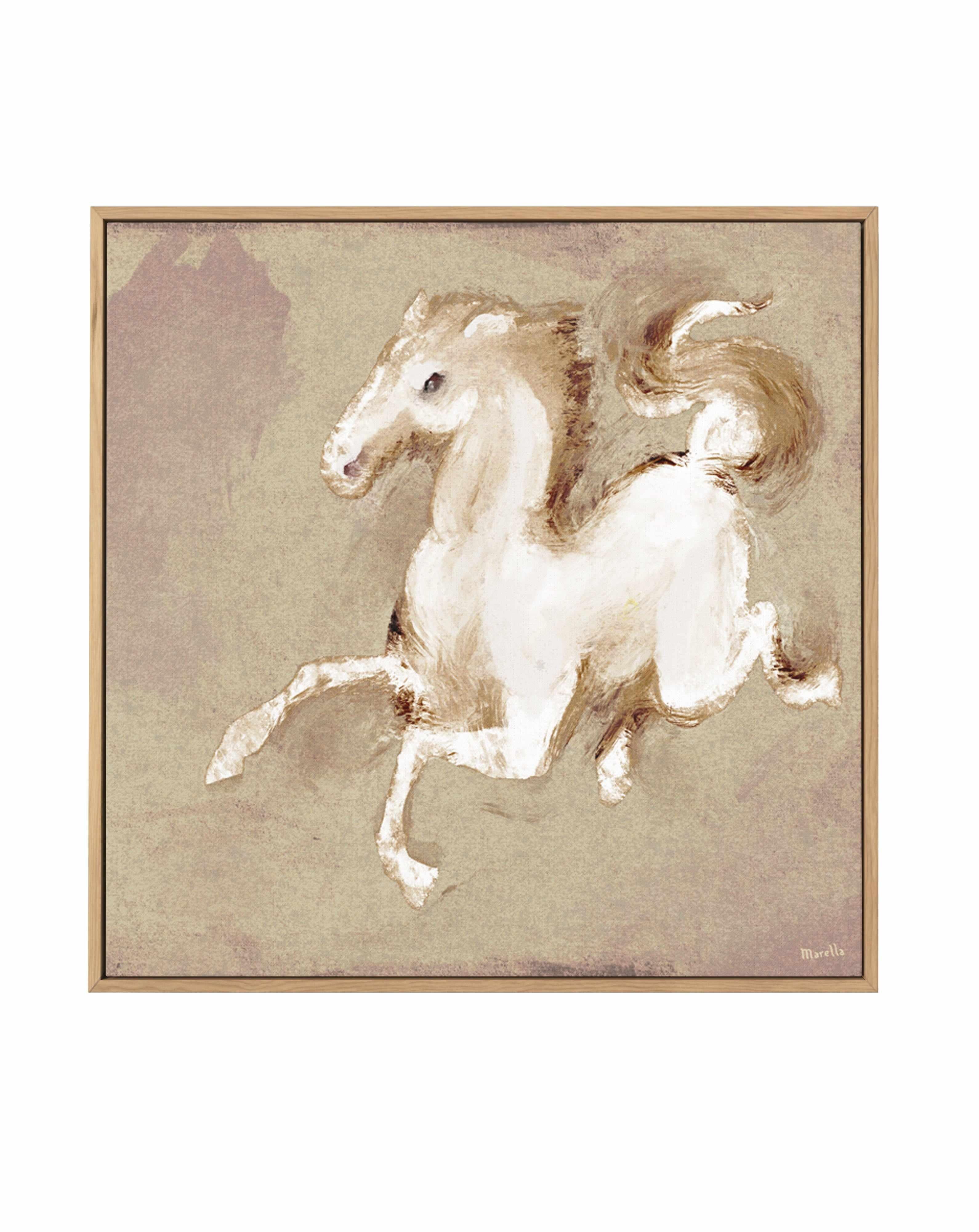 Wild Horse 2 by Marco Marella | Framed Canvas Art Print from Olive et Oriel where you can shop wallpaper and artworks online