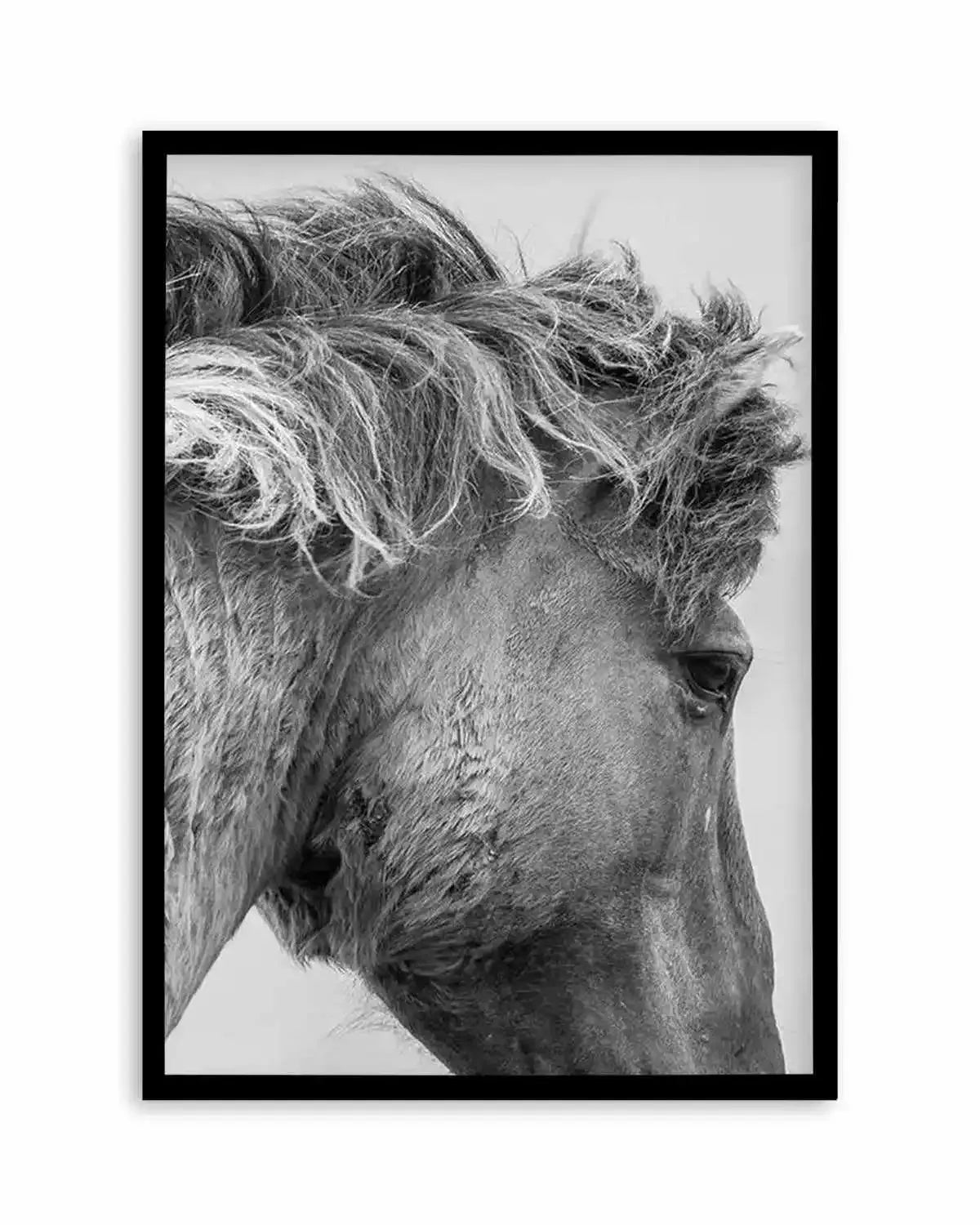 Wild Horse Close-up Art Print from Olive et Oriel where you can shop wallpaper and artworks online