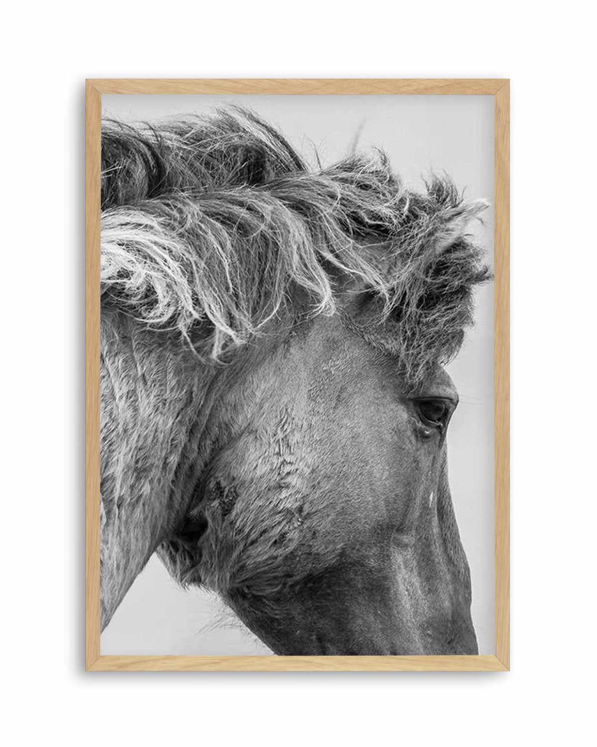 Wild Horse Close-up Art Print