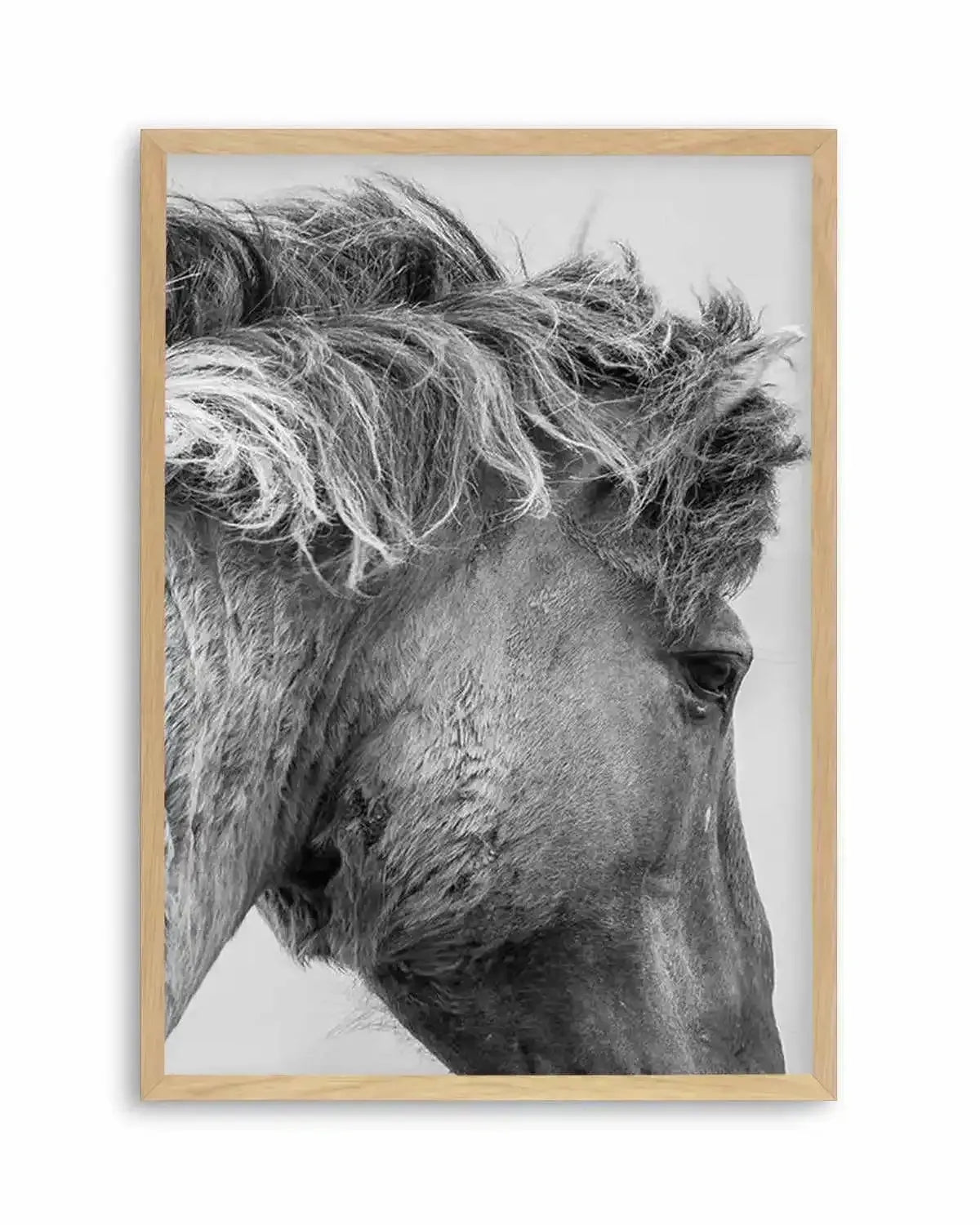 Wild Horse Close-up Art Print from Olive et Oriel where you can shop wallpaper and artworks online