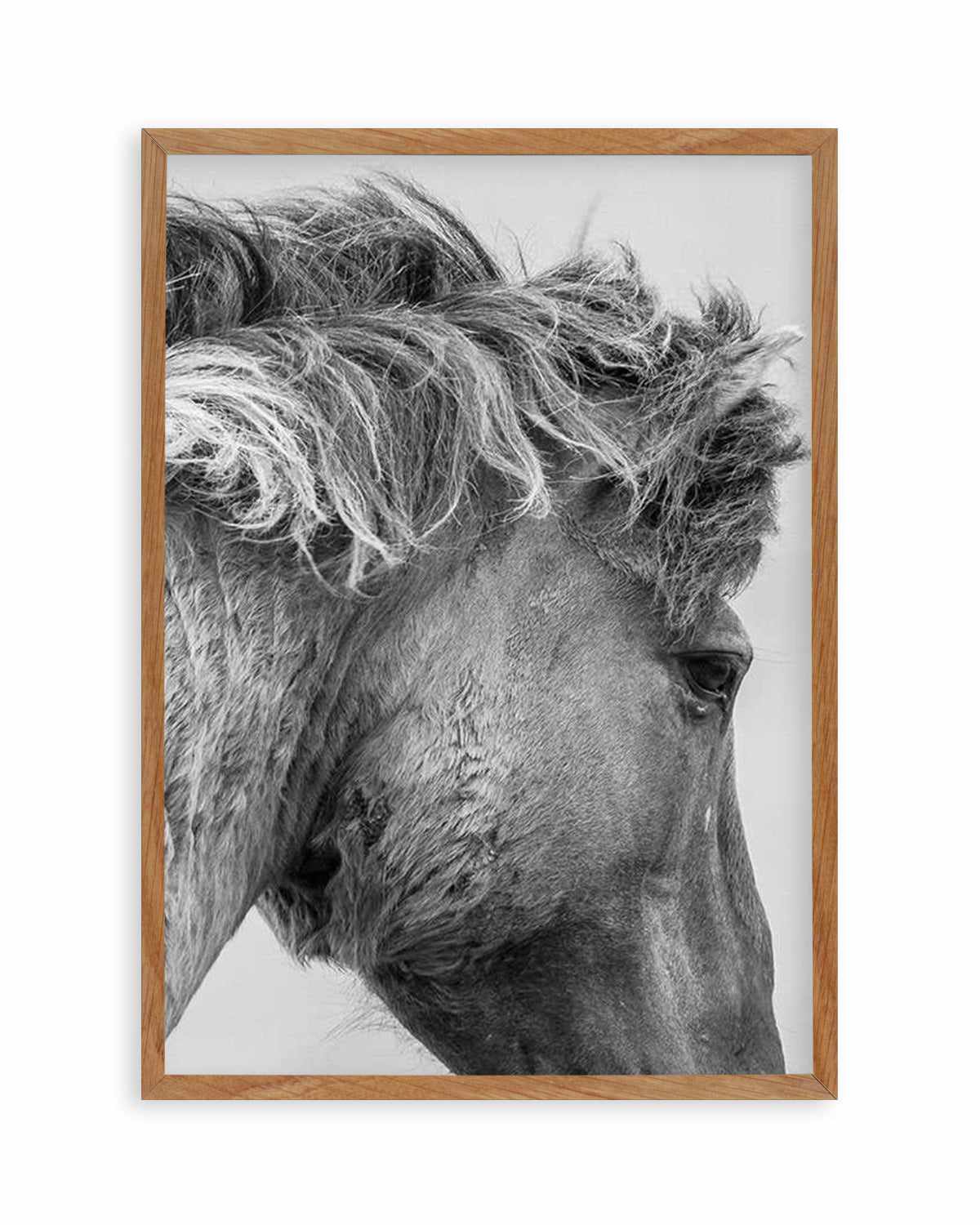 Wild Horse Close-up Art Print