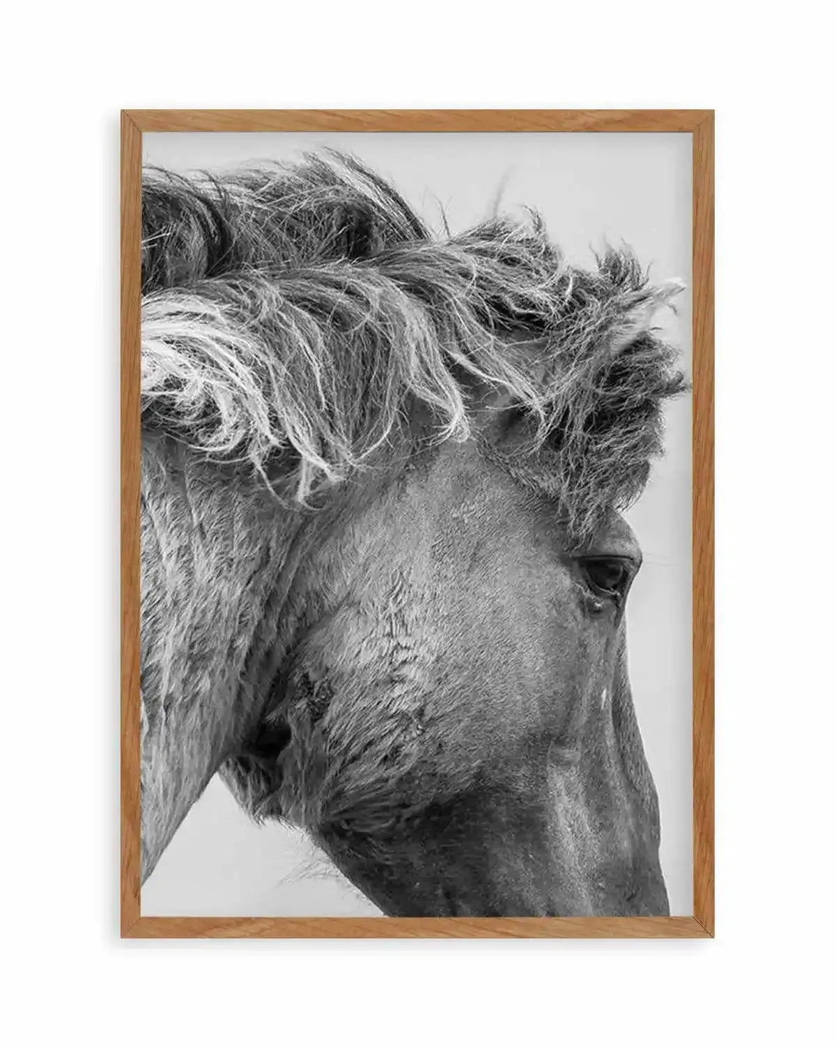 Wild Horse Close-up Art Print from Olive et Oriel where you can shop wallpaper and artworks online
