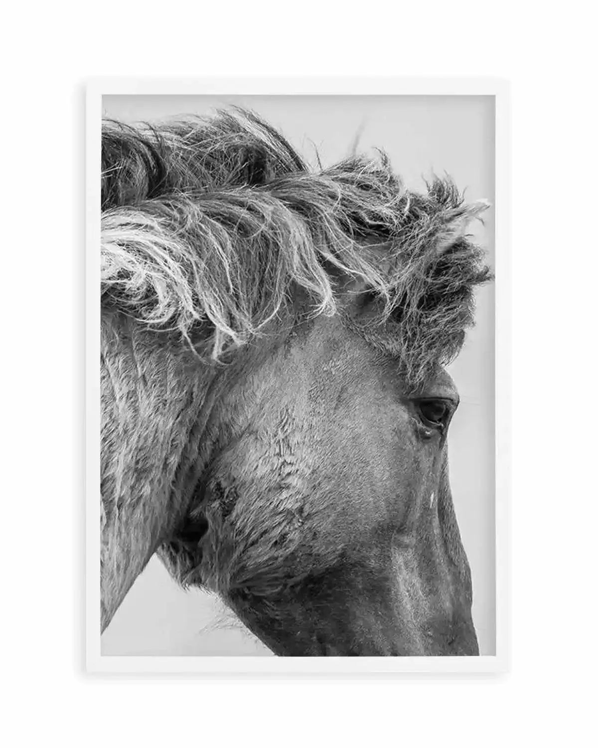 Wild Horse Close-up Art Print from Olive et Oriel where you can shop wallpaper and artworks online