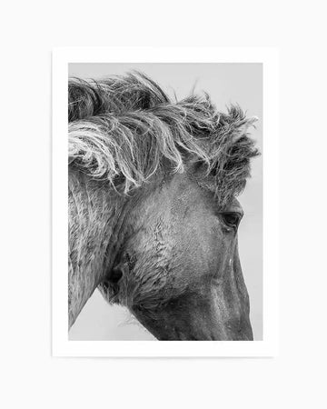 Black and white photographic art print of a horse's head in profile facing left. The horse has a flowing, windswept mane with textured strands clearly visible. Fine details show the horse's eye, defined facial structure, and neck muscles. The image has high contrast with a neutral gray background. The photograph is mounted on a white border within a white frame.