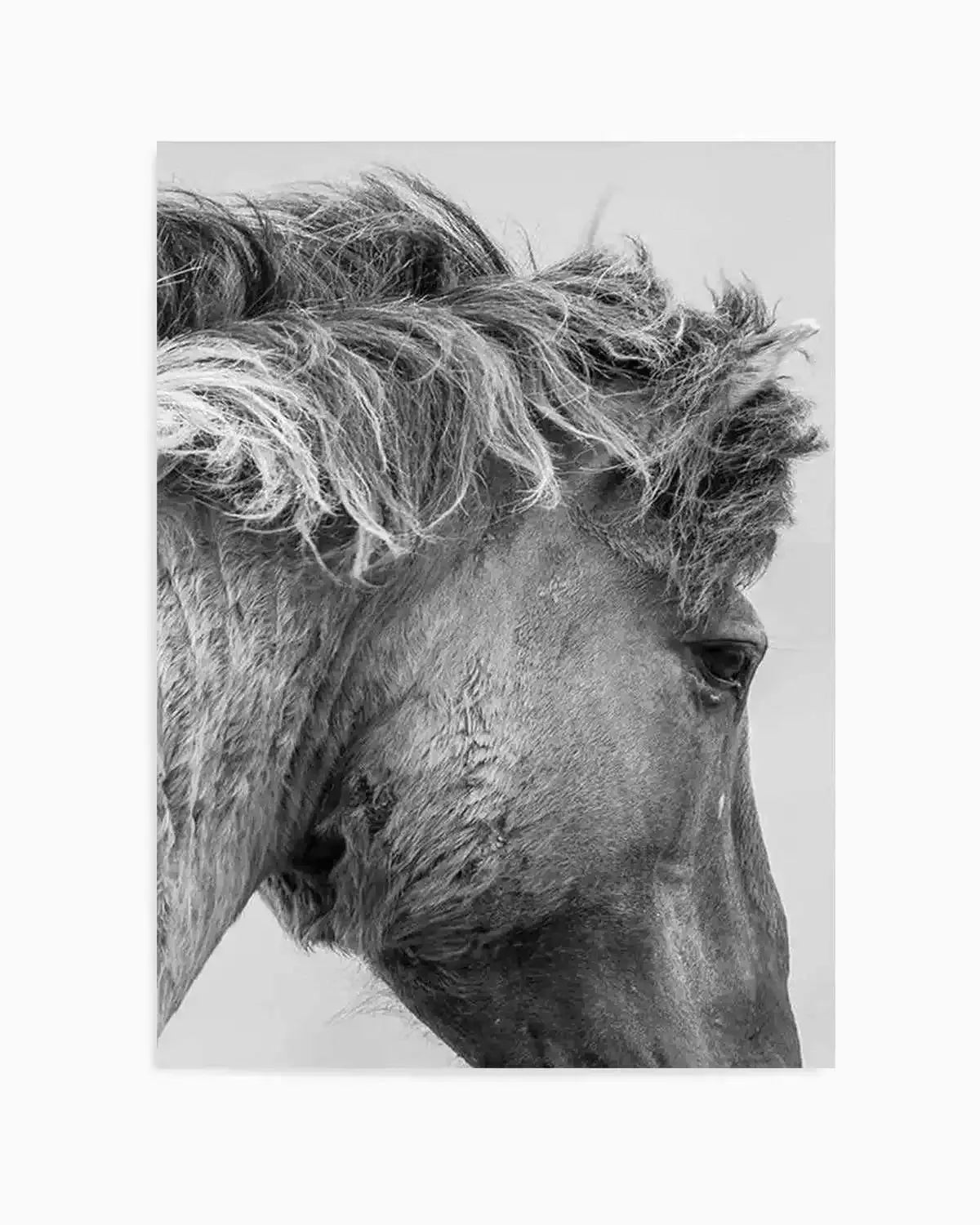 Wild Horse Close-up Art Print from Olive et Oriel where you can shop wallpaper and artworks online
