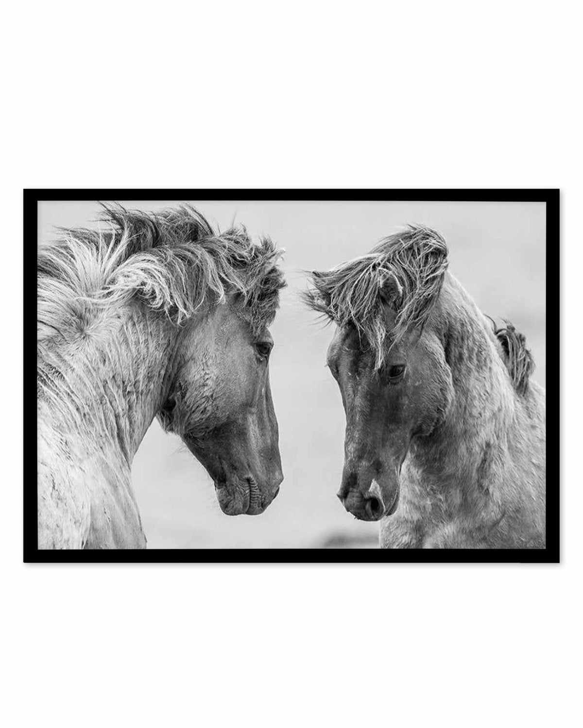 Wild Horses | LS Art Print