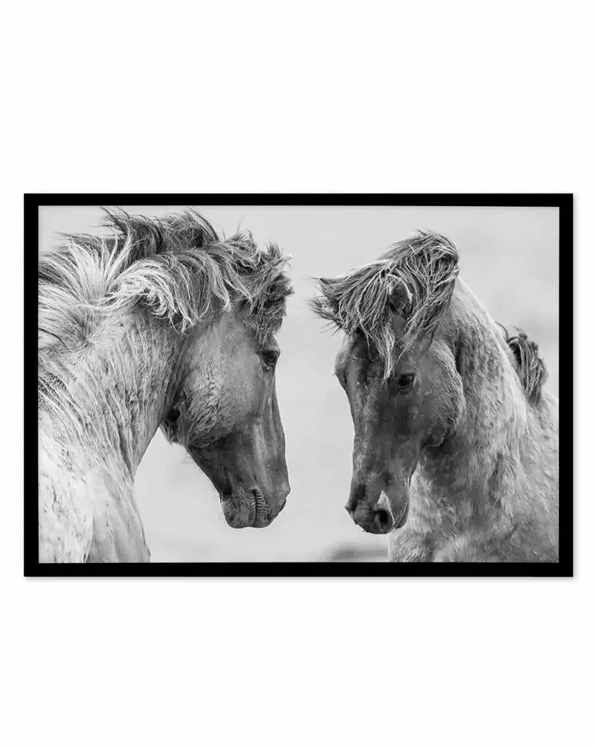 Wild Horses | LS Art Print from Olive et Oriel where you can shop wallpaper and artworks online