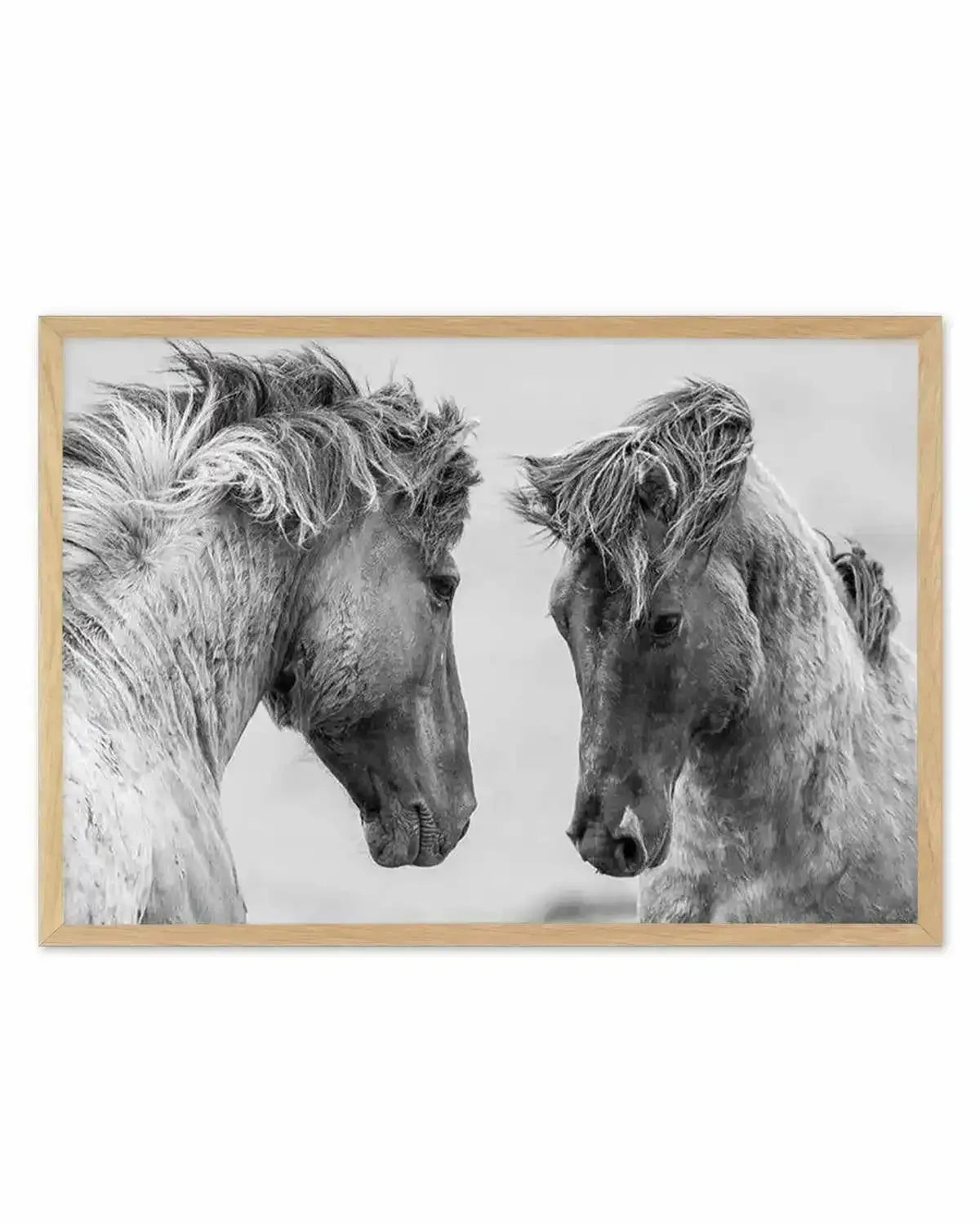 Wild Horses | LS Art Print from Olive et Oriel where you can shop wallpaper and artworks online