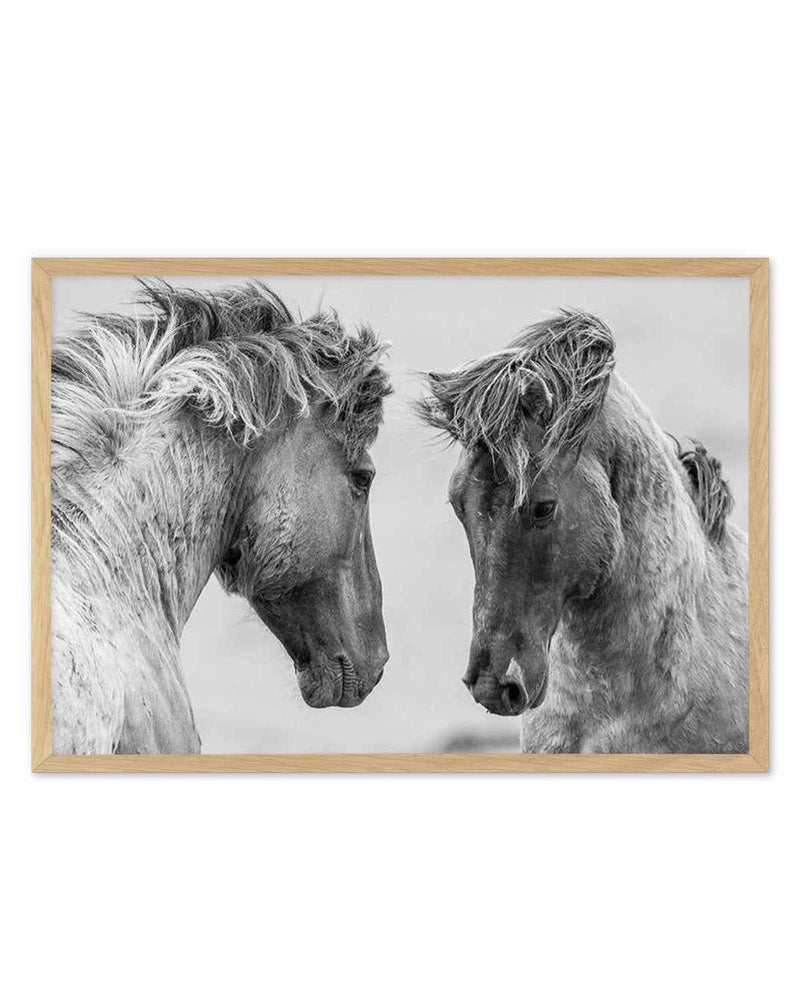 Wild Horses | LS Art Print