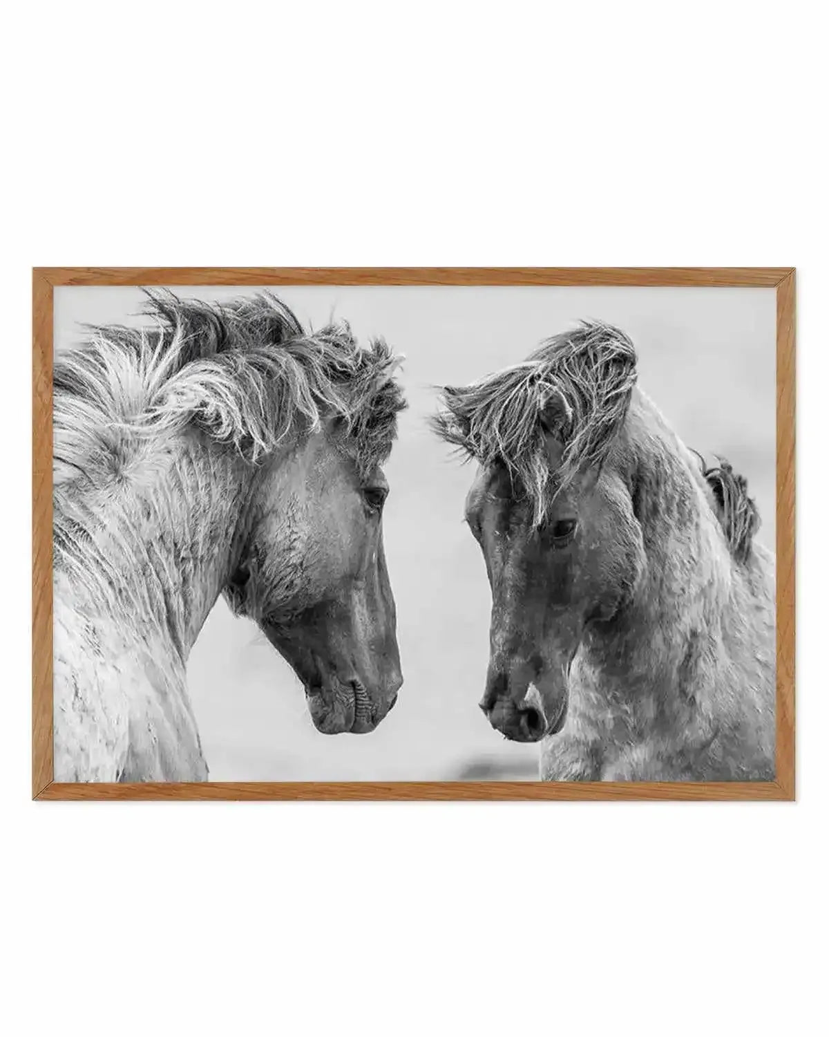 Wild Horses | LS Art Print from Olive et Oriel where you can shop wallpaper and artworks online