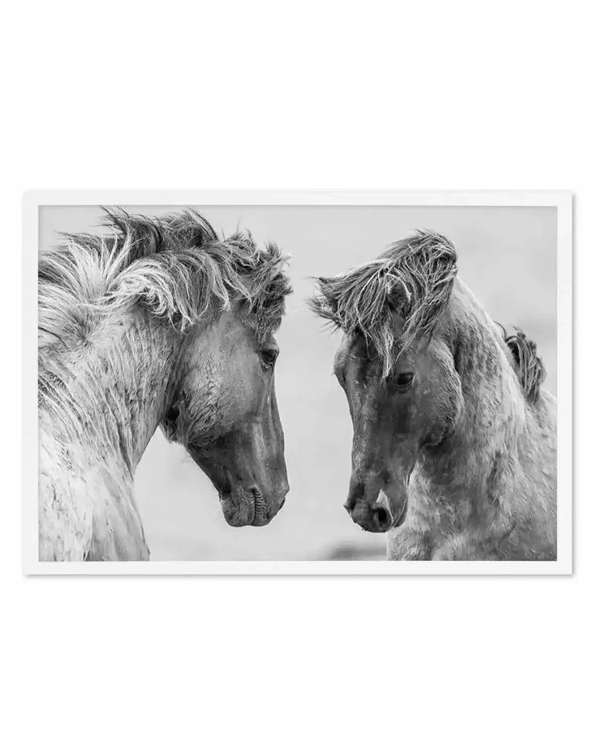 Wild Horses | LS Art Print from Olive et Oriel where you can shop wallpaper and artworks online