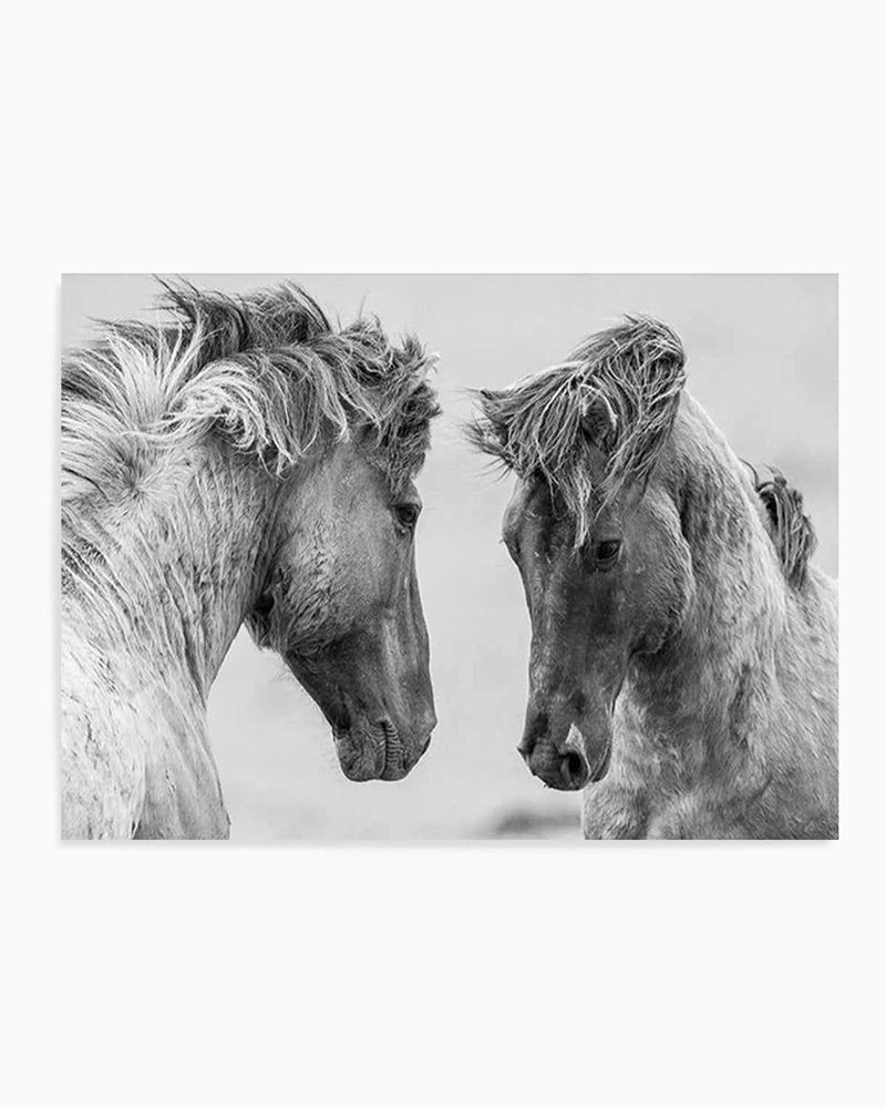 Wild Horses | LS Art Print