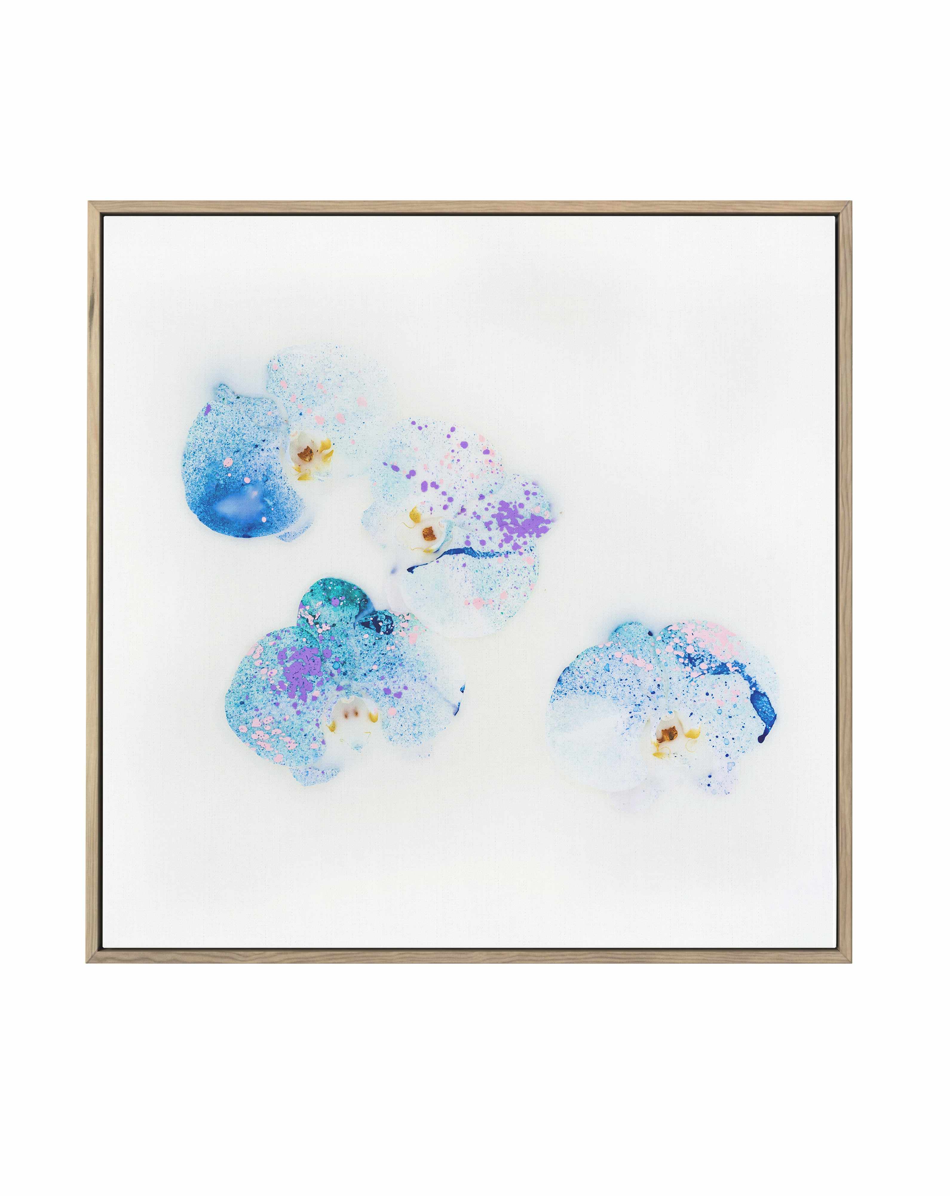 Wild Orchids I | Framed Canvas Art Print