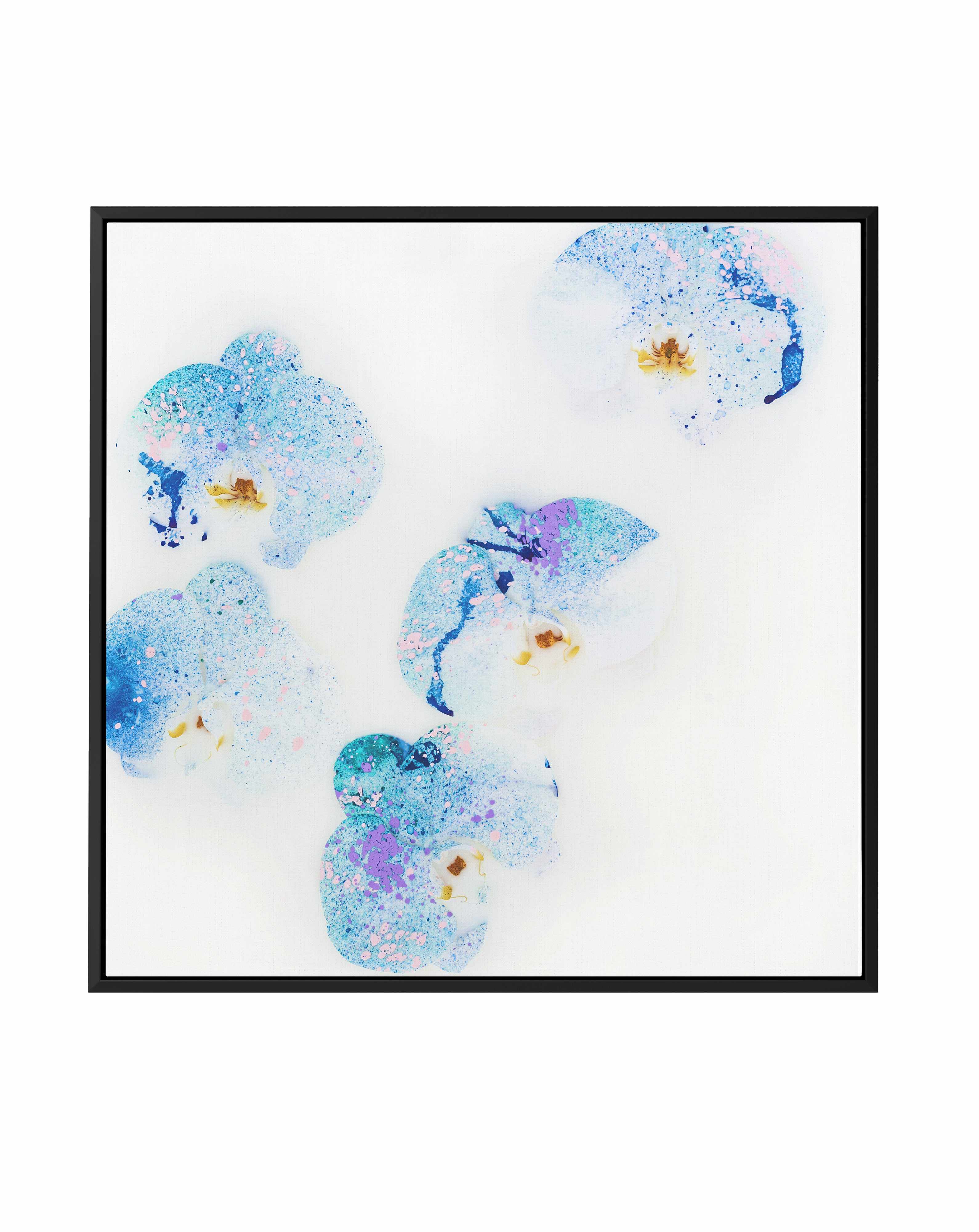 Wild Orchids II | Framed Canvas Art Print