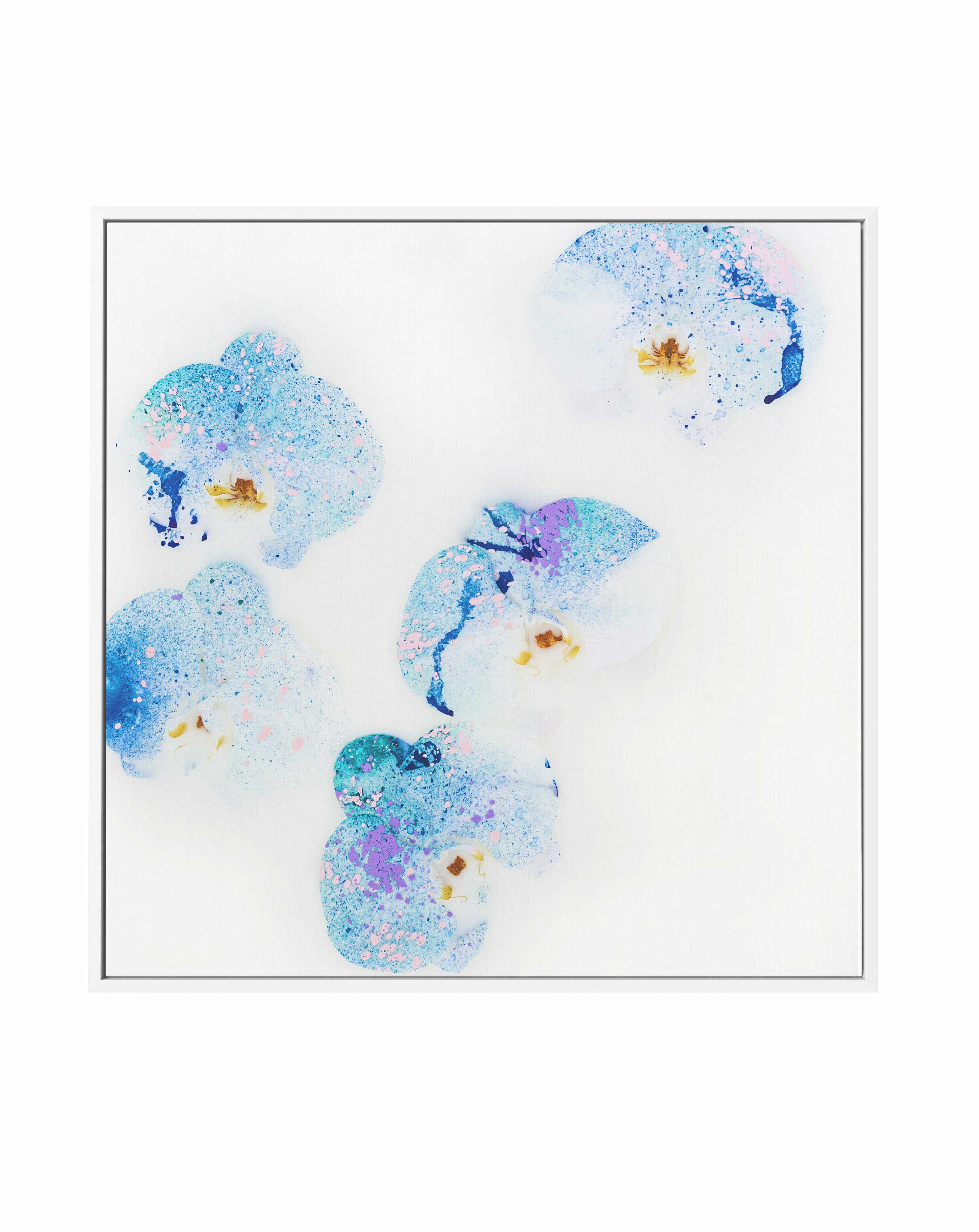 Wild Orchids II | Framed Canvas Art Print