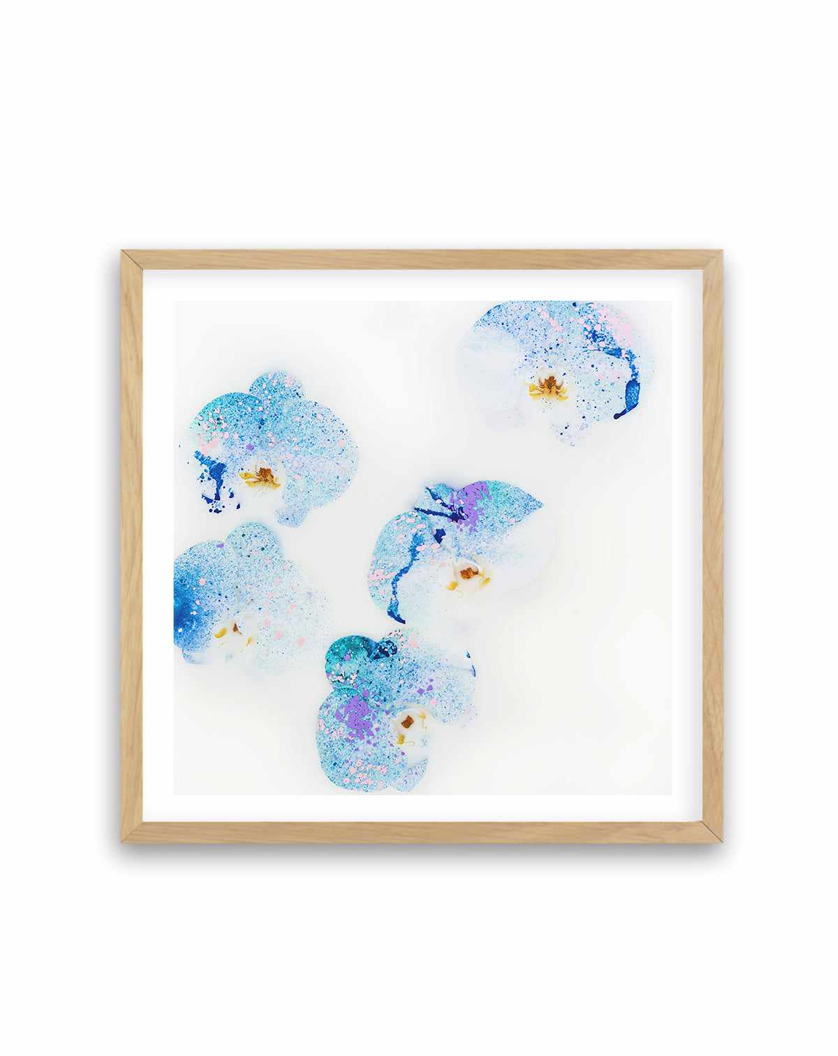 Wild Orchids II | Art Print