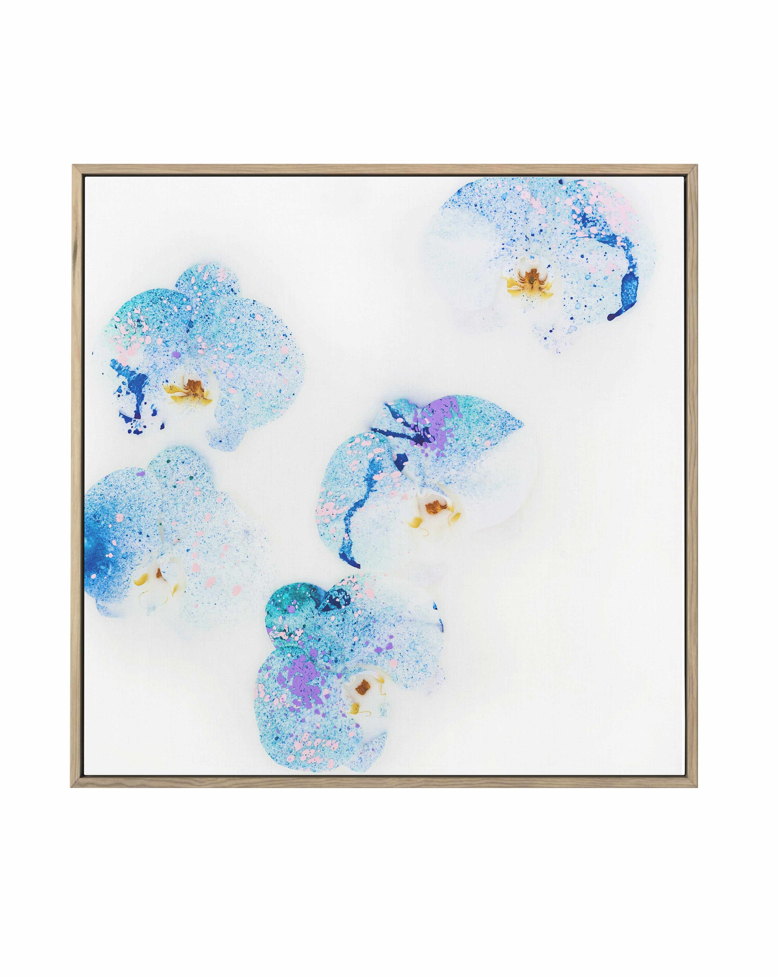 Wild Orchids II | Framed Canvas Art Print