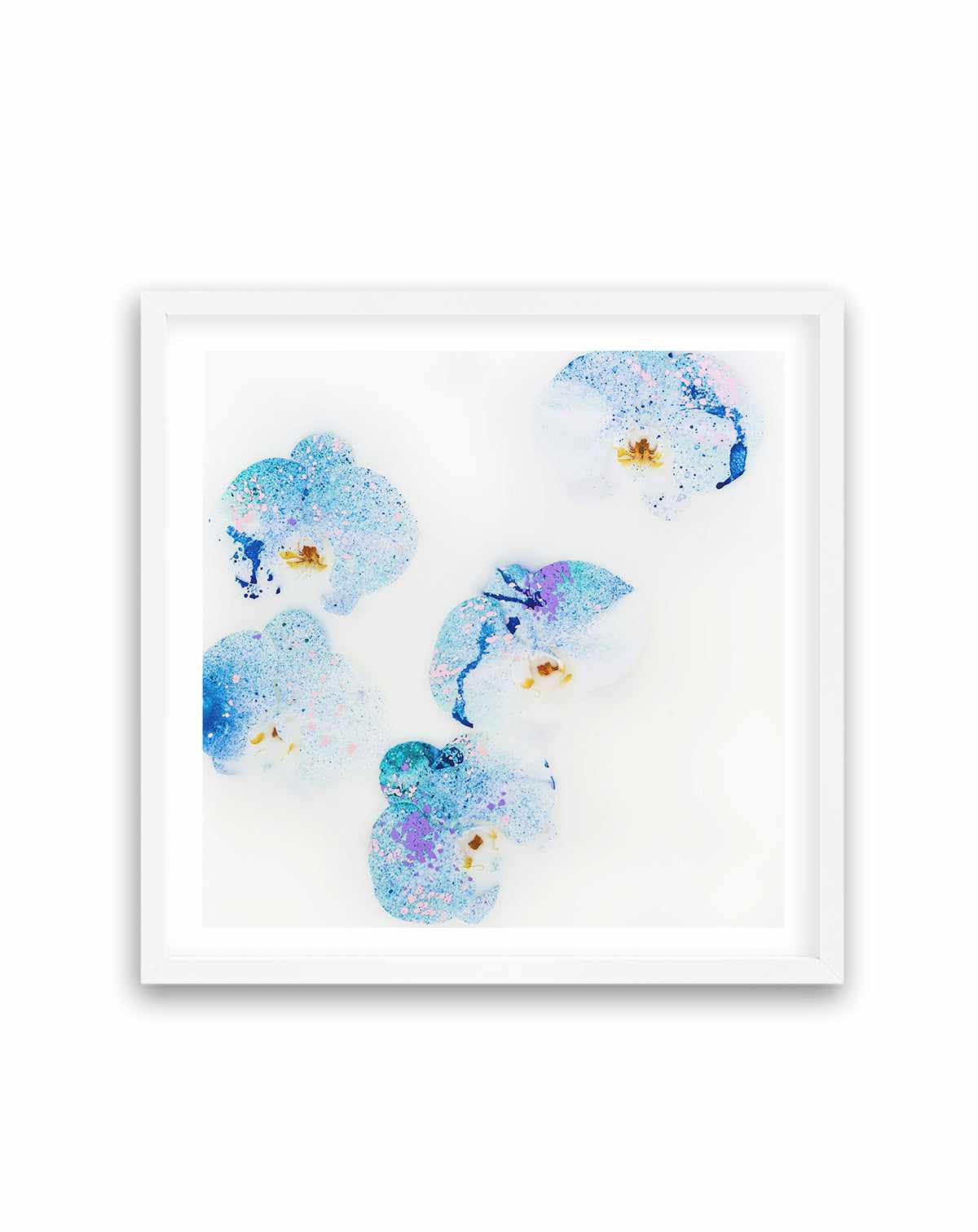 Wild Orchids II | Art Print