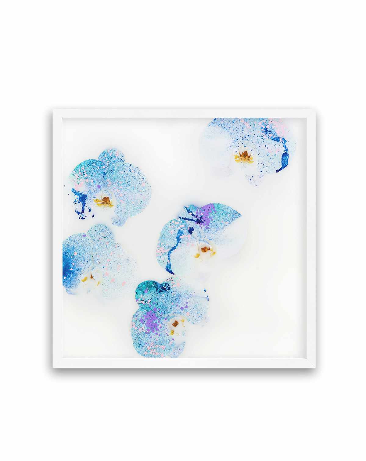 Wild Orchids II | Art Print