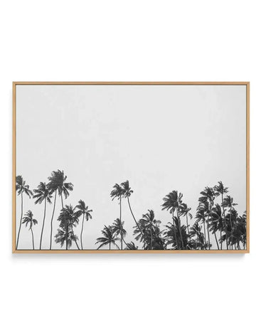 Black and white photograph of wild palm trees displayed in a natural wood frame. The composition shows silhouetted palm tree tops with long fronds against a light gray sky, positioned along the lower portion of the canvas. The photograph has a minimalist aesthetic with high contrast between the dark tree silhouettes and pale background. The natural wood frame has a warm tan finish and is shown mounted on a white wall. The overall effect is serene and botanical with a contemporary aesthetic.