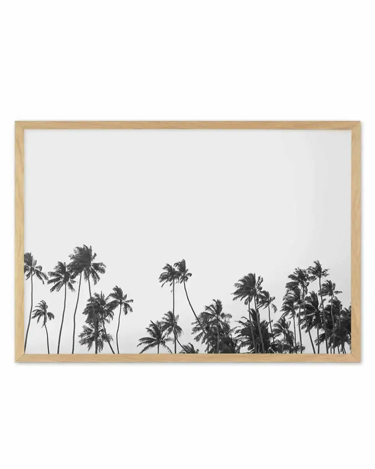 Wild Palm Trees Art Print from Olive et Oriel where you can shop wallpaper and artworks online