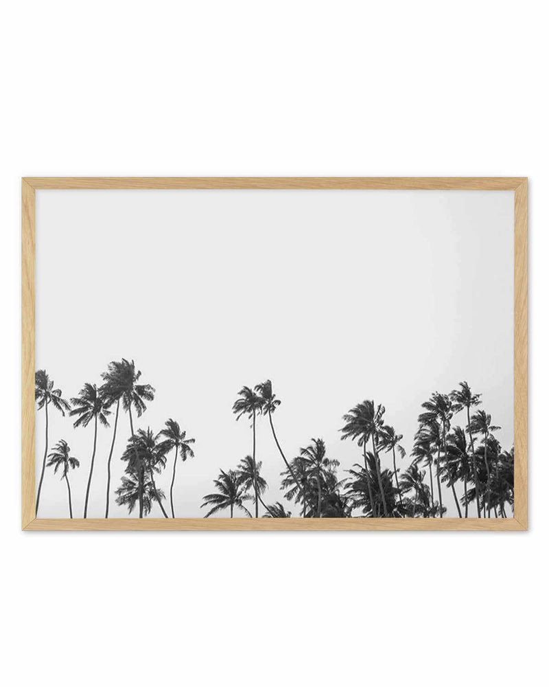 Wild Palm Trees Art Print