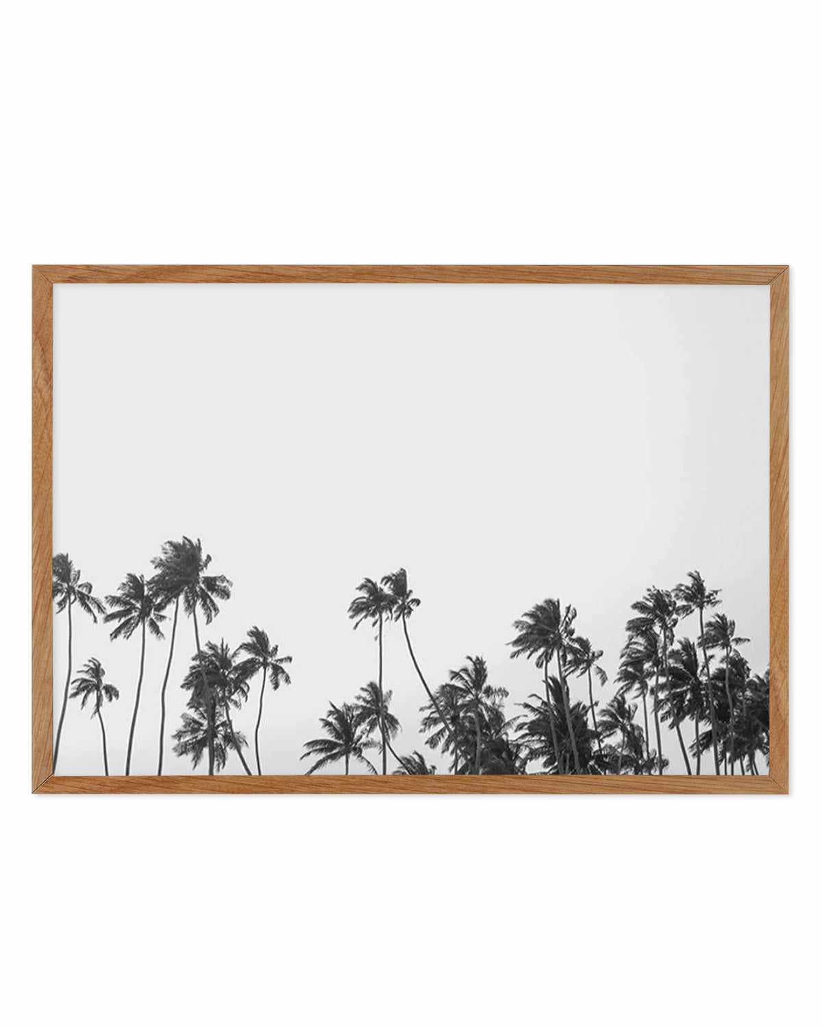 Wild Palm Trees Art Print