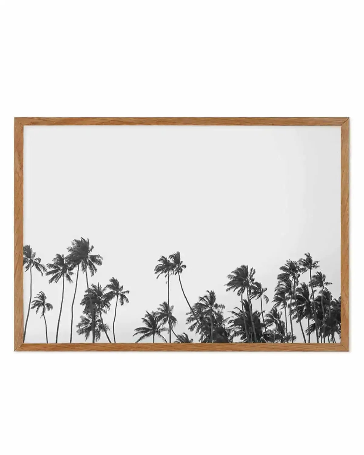 Wild Palm Trees Art Print from Olive et Oriel where you can shop wallpaper and artworks online