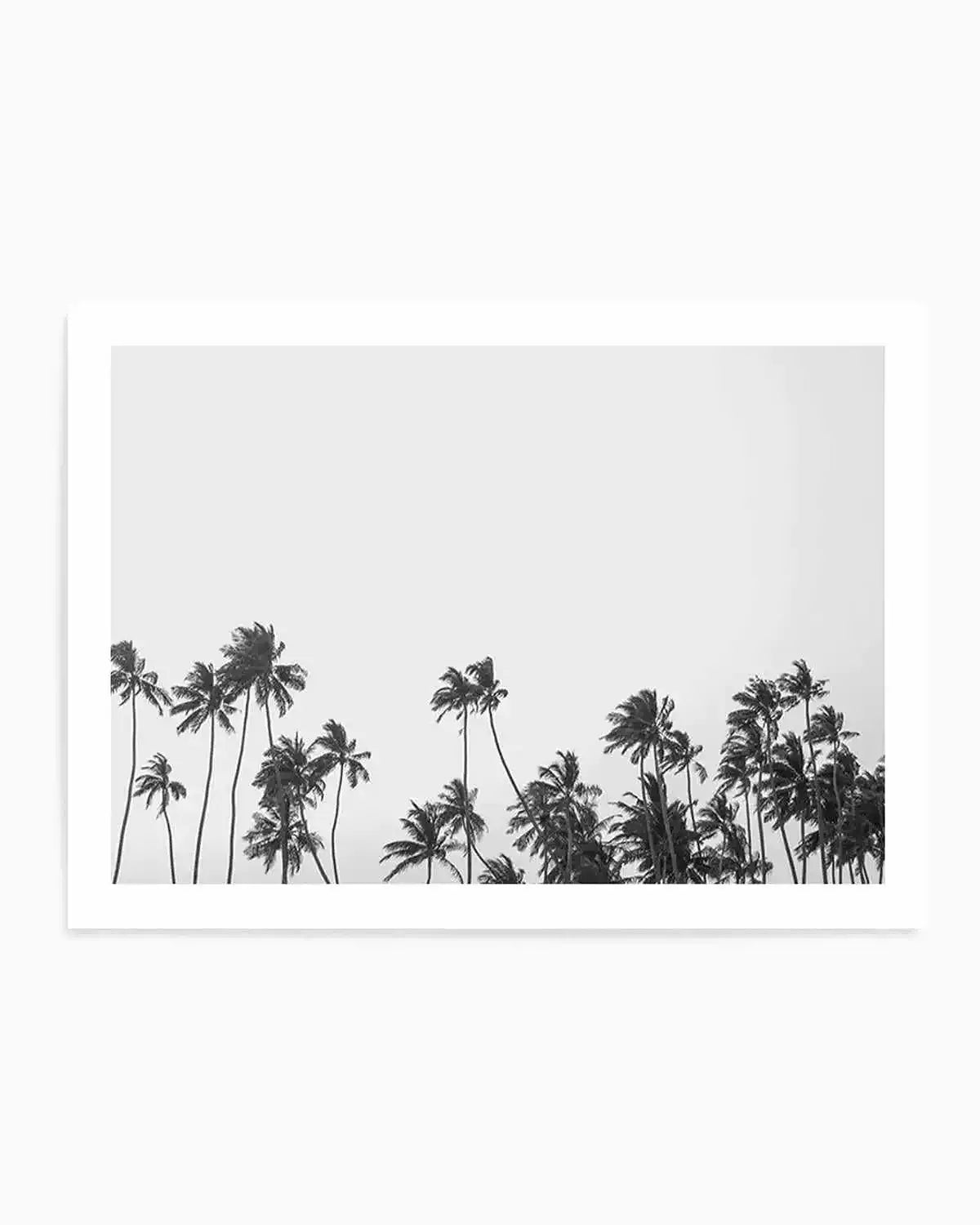 Wild Palm Trees Art Print from Olive et Oriel where you can shop wallpaper and artworks online