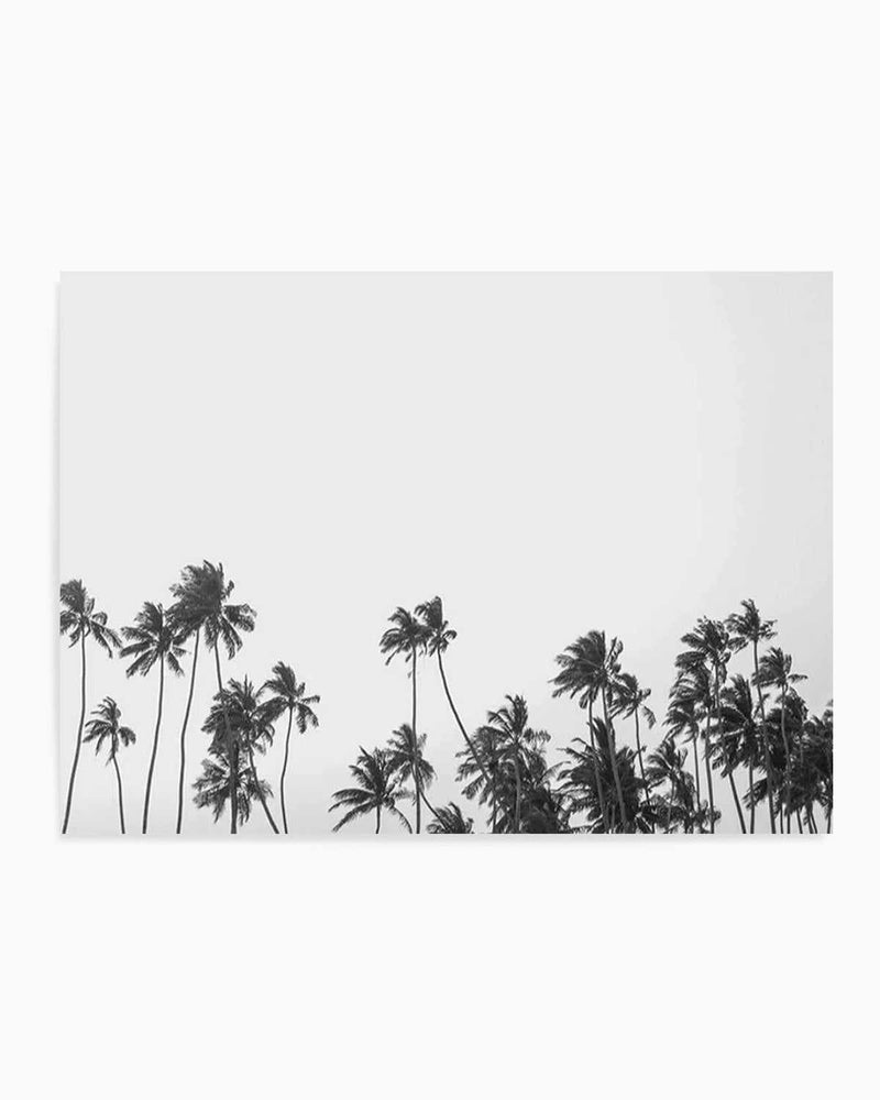 Wild Palm Trees Art Print