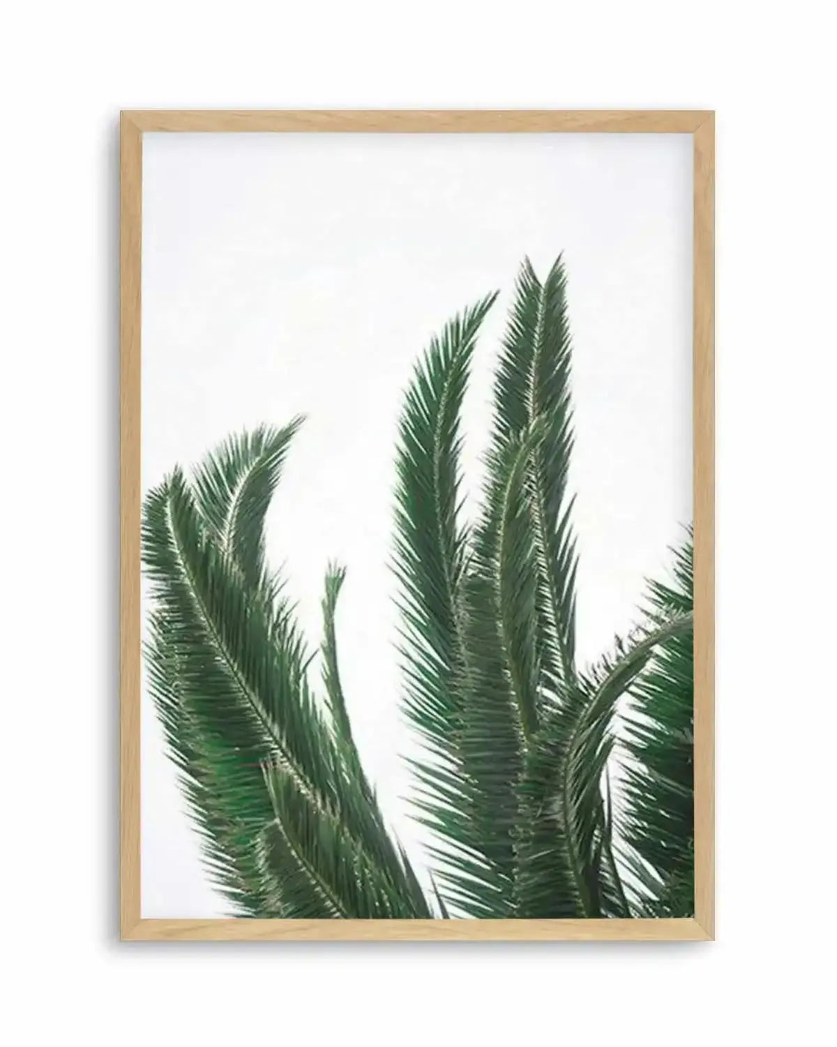 Wild Palms Art Print from Olive et Oriel where you can shop wallpaper and artworks online