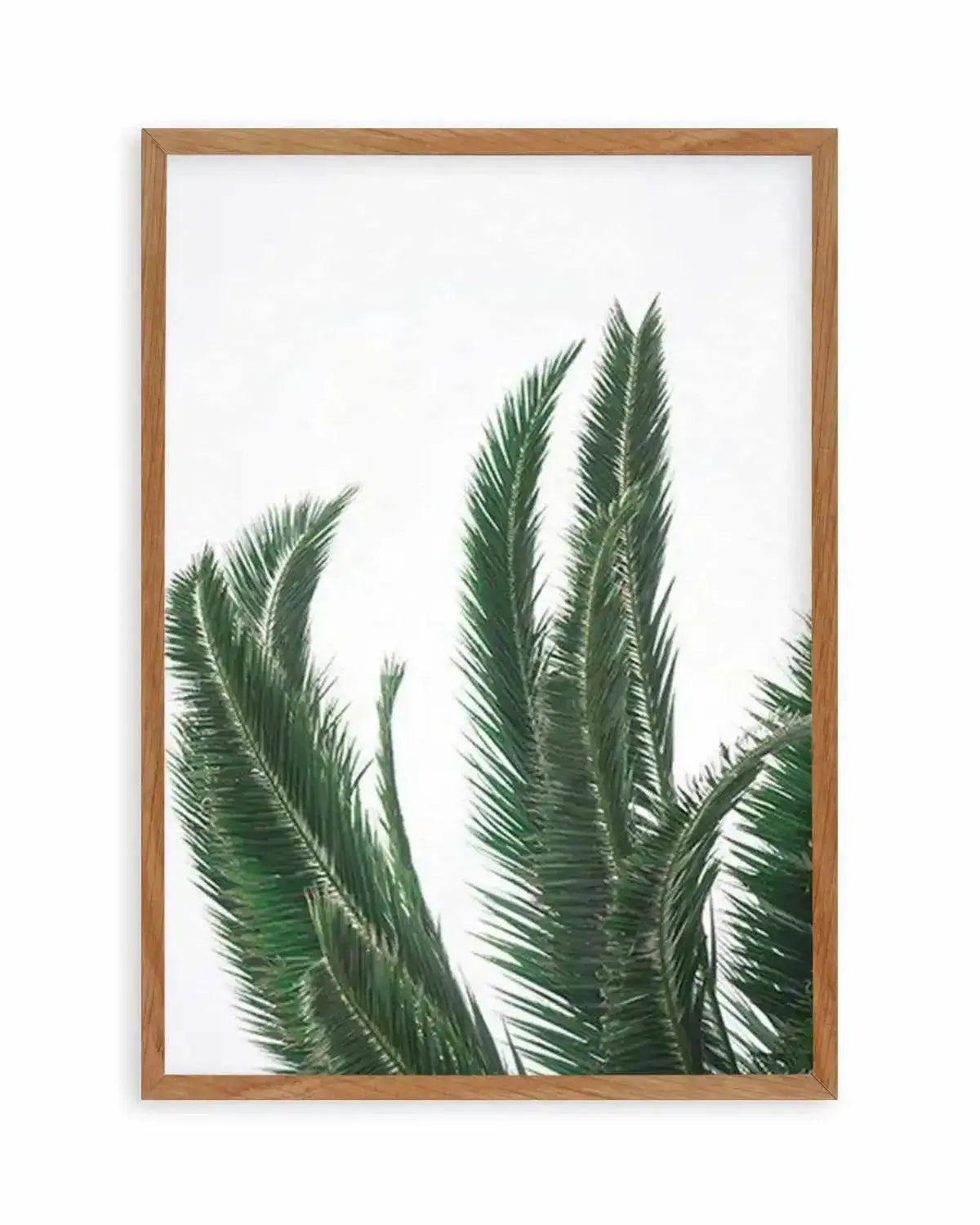 Wild Palms Art Print from Olive et Oriel where you can shop wallpaper and artworks online