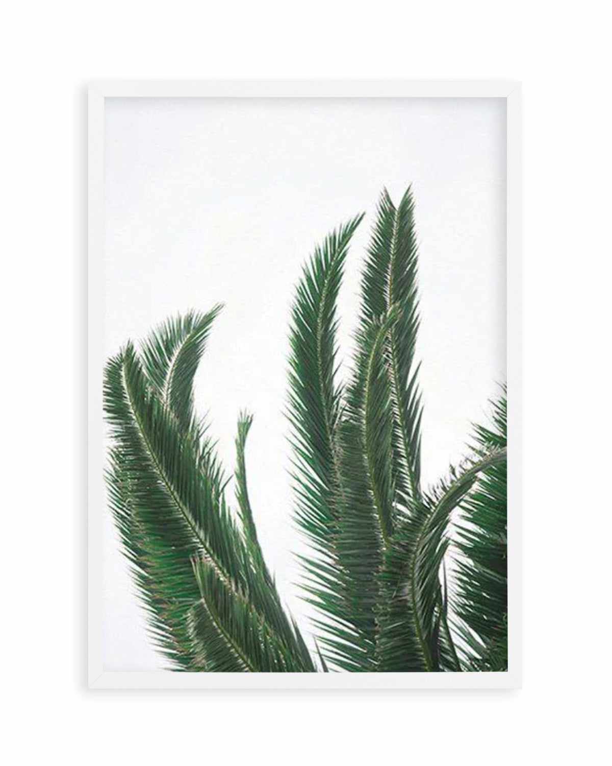 Wild Palms Art Print