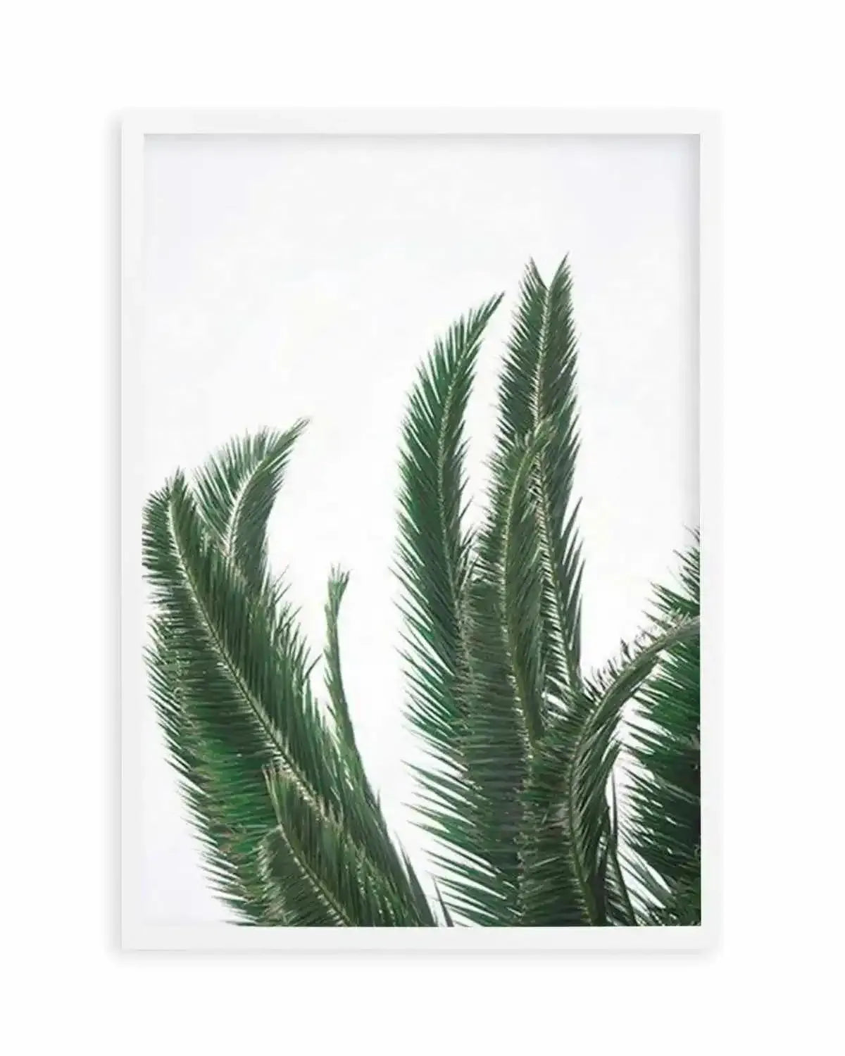 Wild Palms Art Print from Olive et Oriel where you can shop wallpaper and artworks online