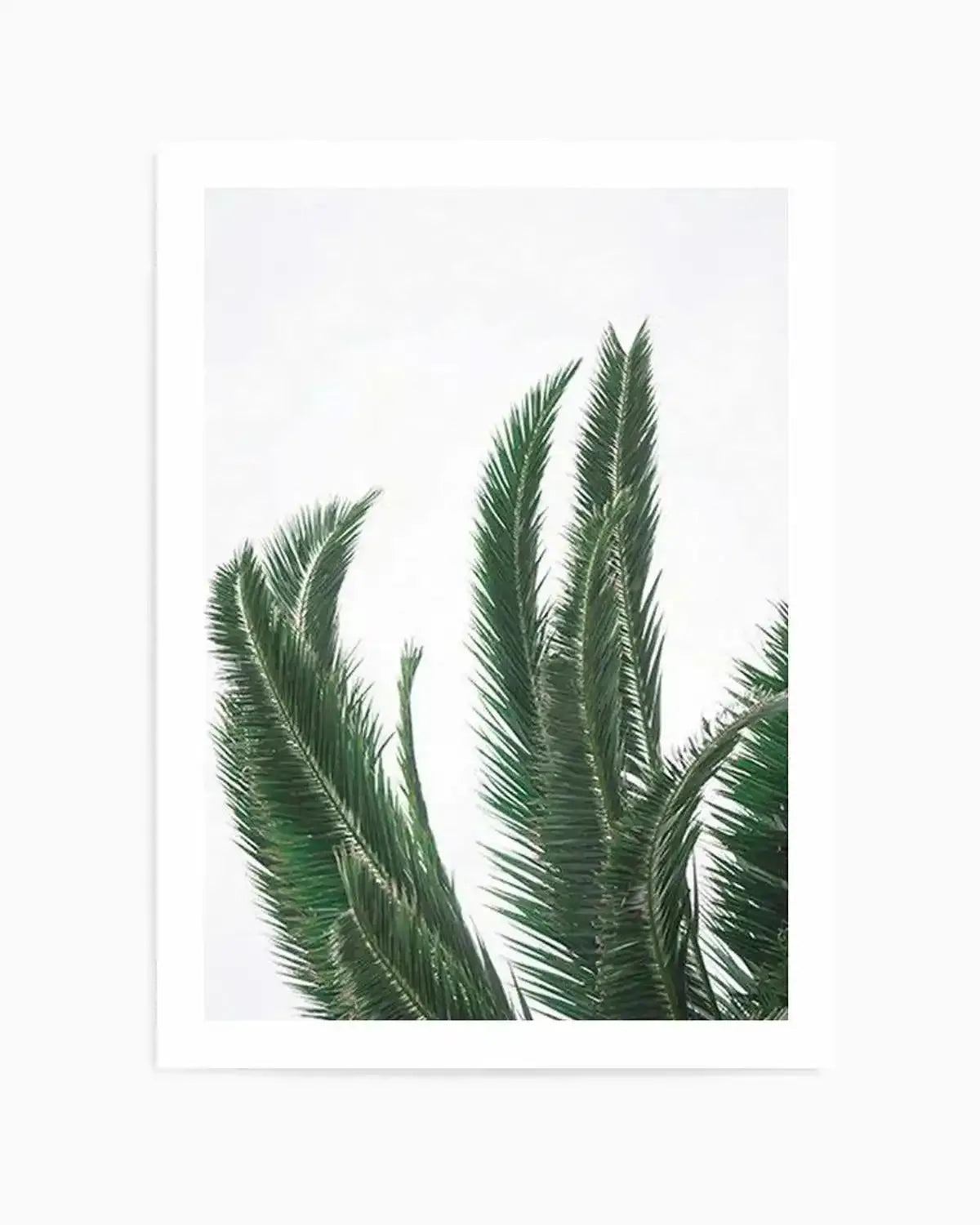 Wild Palms Art Print from Olive et Oriel where you can shop wallpaper and artworks online