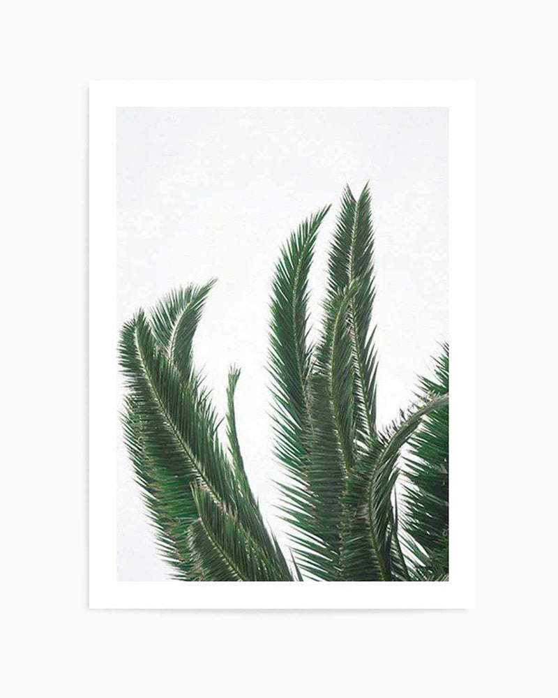 Wild Palms Art Print