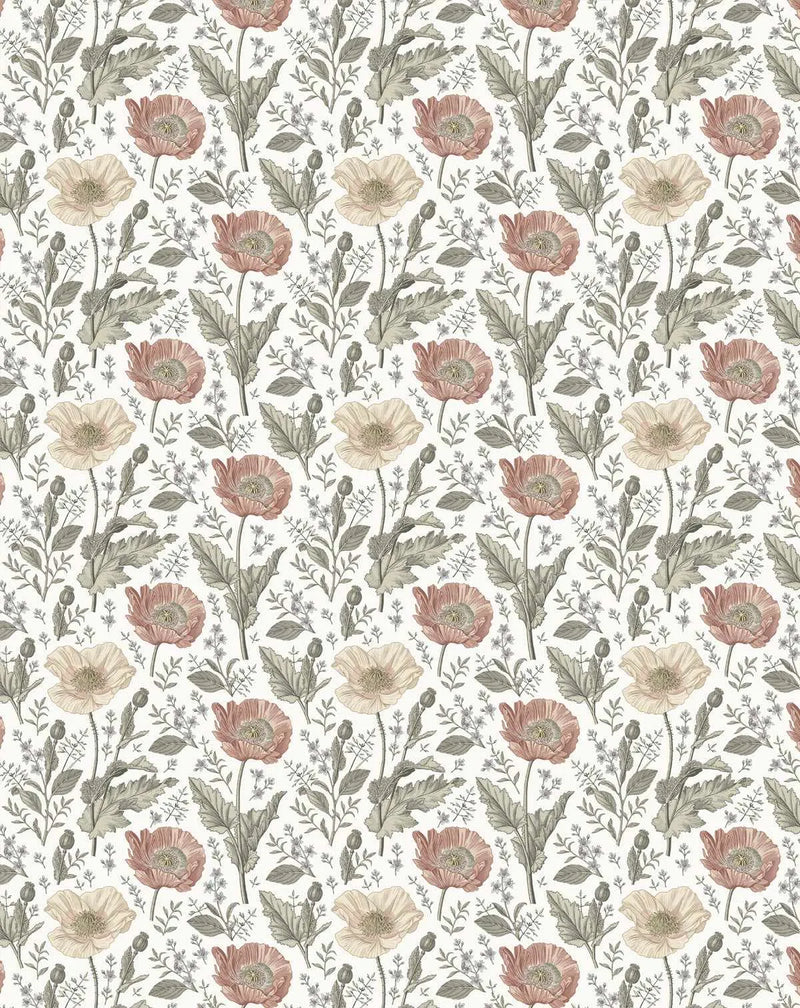 Peel and stick wallpaper featuring a repeating pattern of hand-drawn poppy flowers and botanical elements in a vintage illustration style. The design includes large open poppy blooms in muted dusty rose and soft cream, with detailed grey-green leaves, stems, and smaller sprigs of tiny white flowers, all set against a clean white background.