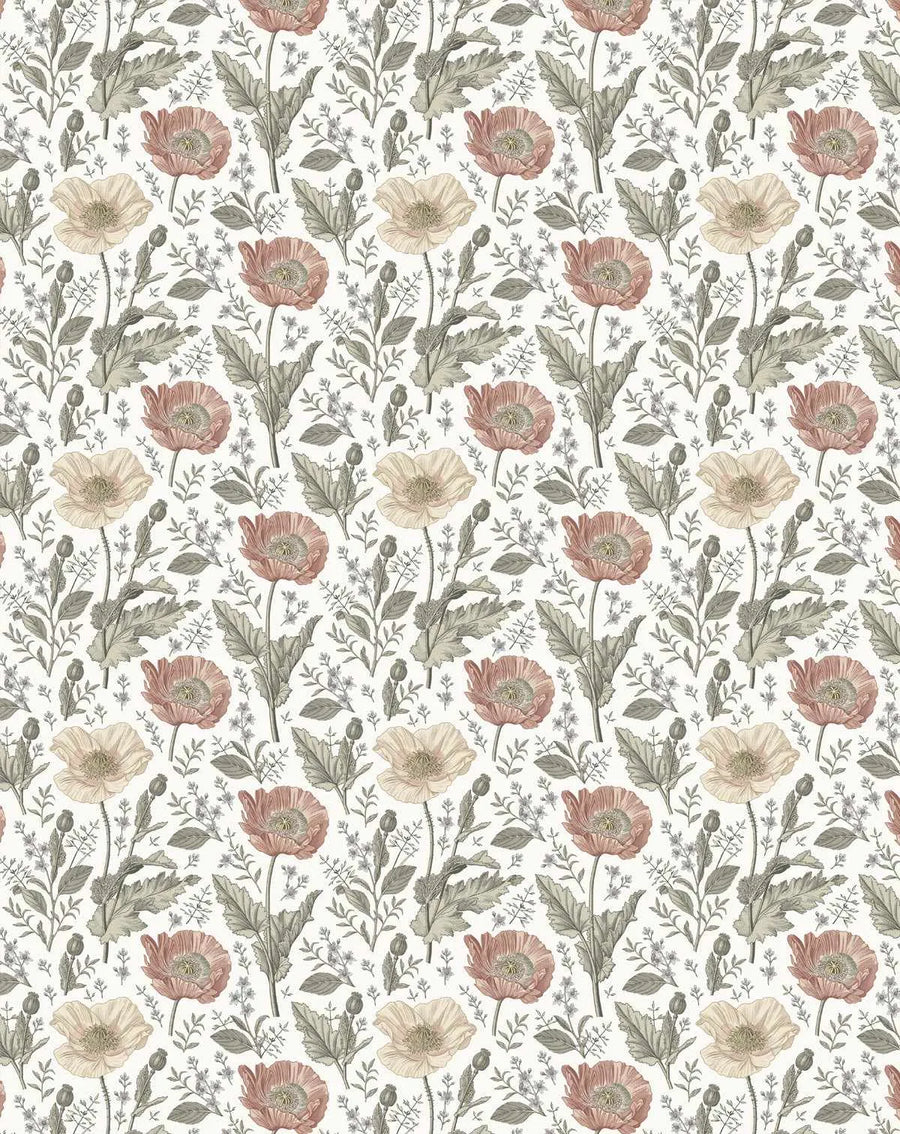 Peel and stick wallpaper featuring a repeating pattern of hand-drawn poppy flowers and botanical elements in a vintage illustration style. The design includes large open poppy blooms in muted dusty rose and soft cream, with detailed grey-green leaves, stems, and smaller sprigs of tiny white flowers, all set against a clean white background.