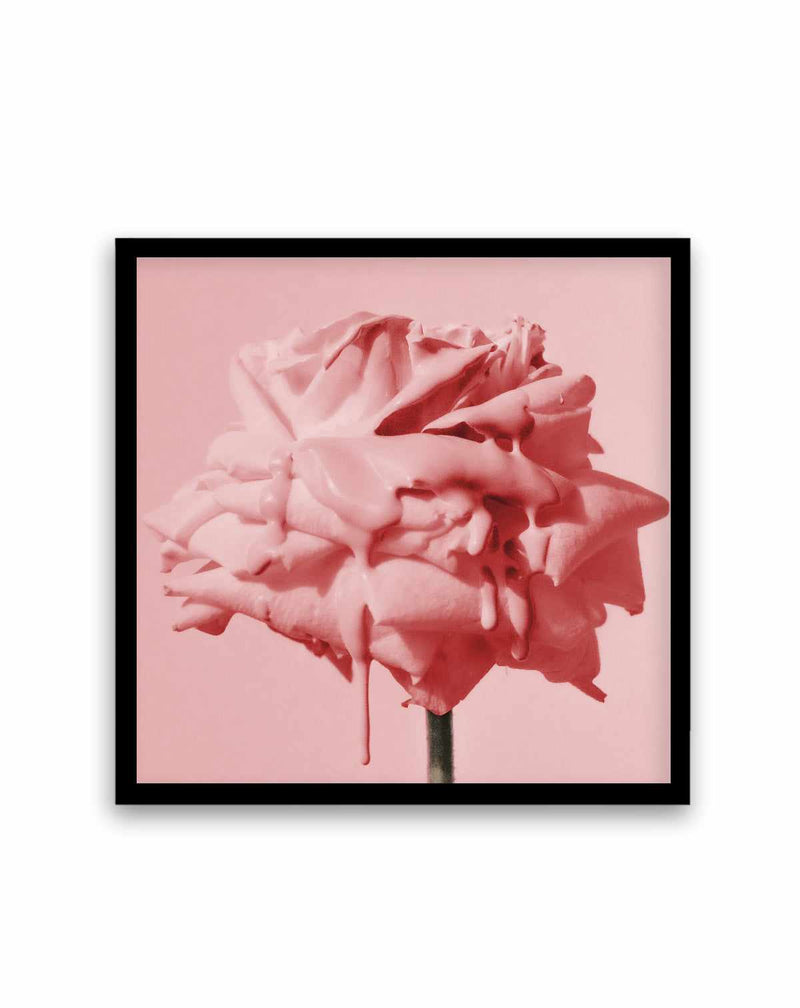 Wild Red Rose | Art Print