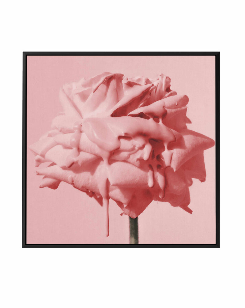 Wild Red Rose | Framed Canvas Art Print