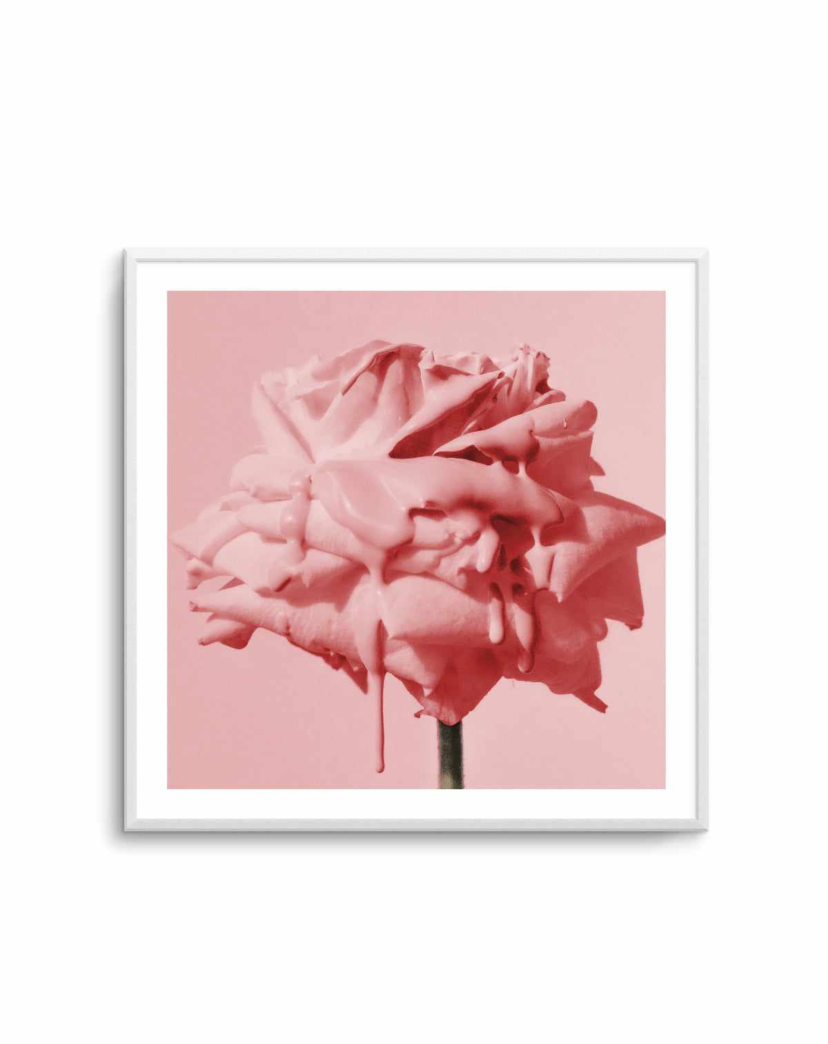 Wild Red Rose Art Print Olive et Oriel