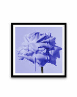 Wild Rose Blue Pop | Art Print