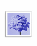 Wild Rose Blue Pop | Art Print