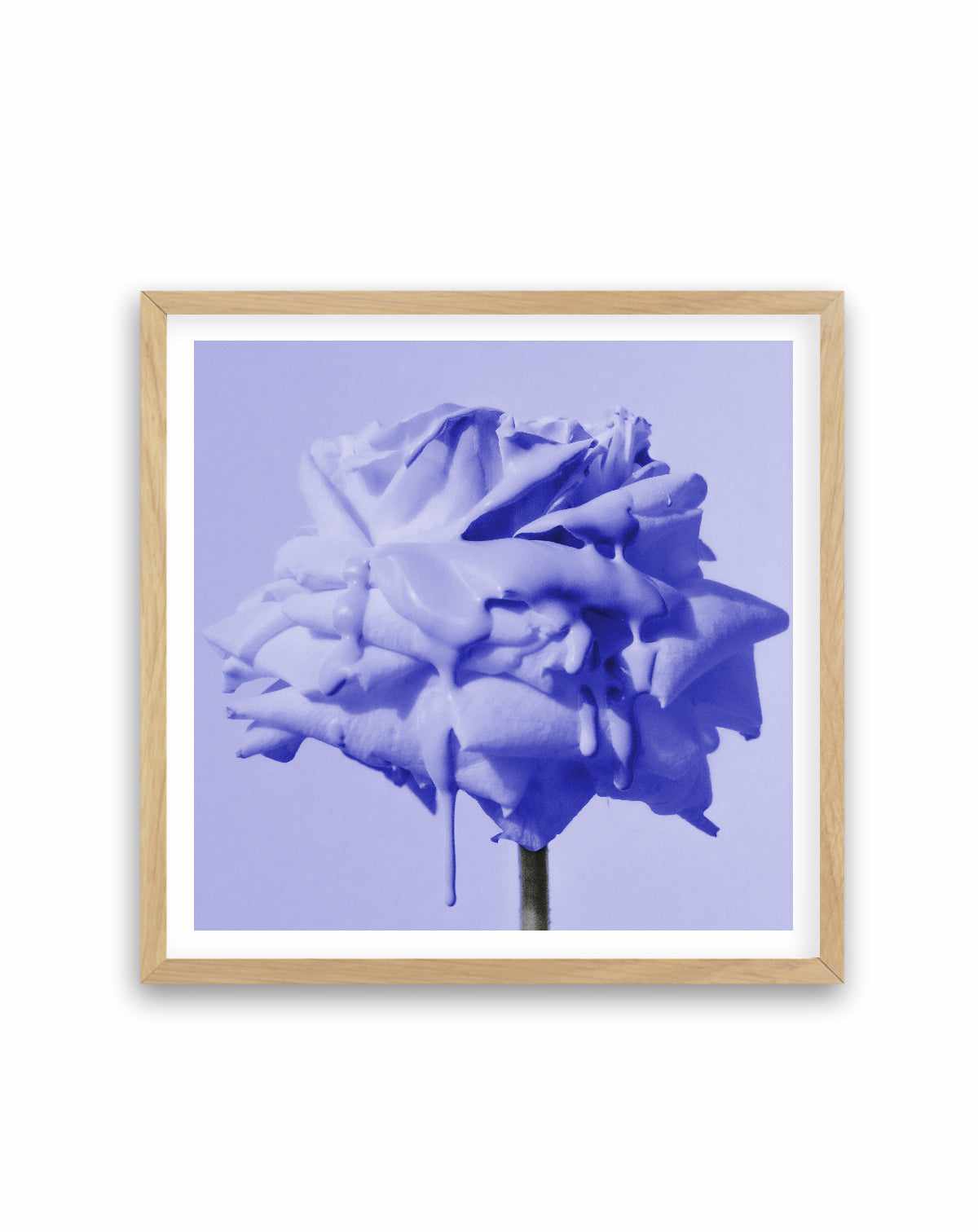 Wild Rose Blue Pop | Art Print