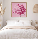 Wild Rose Pink Pop | Framed Canvas Art Print